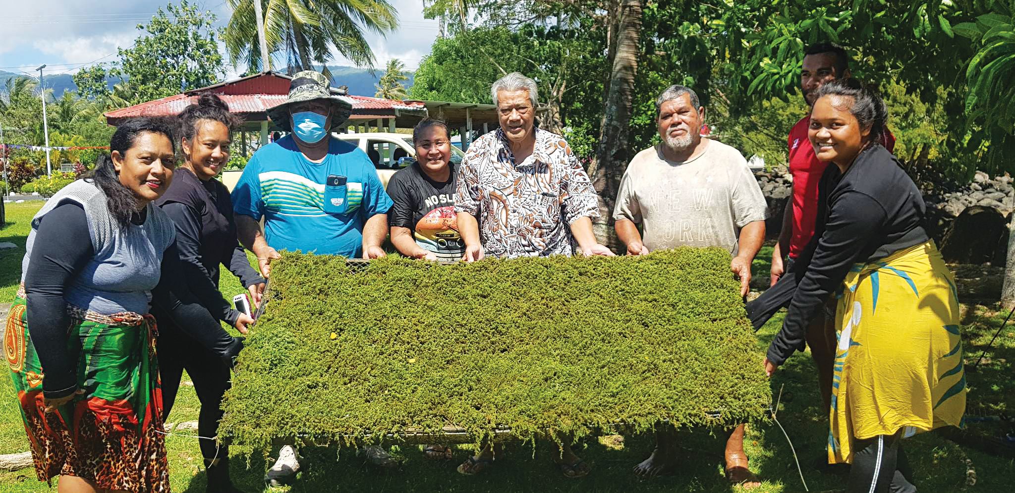 A group of people displaying a large piece of green sea grapes
