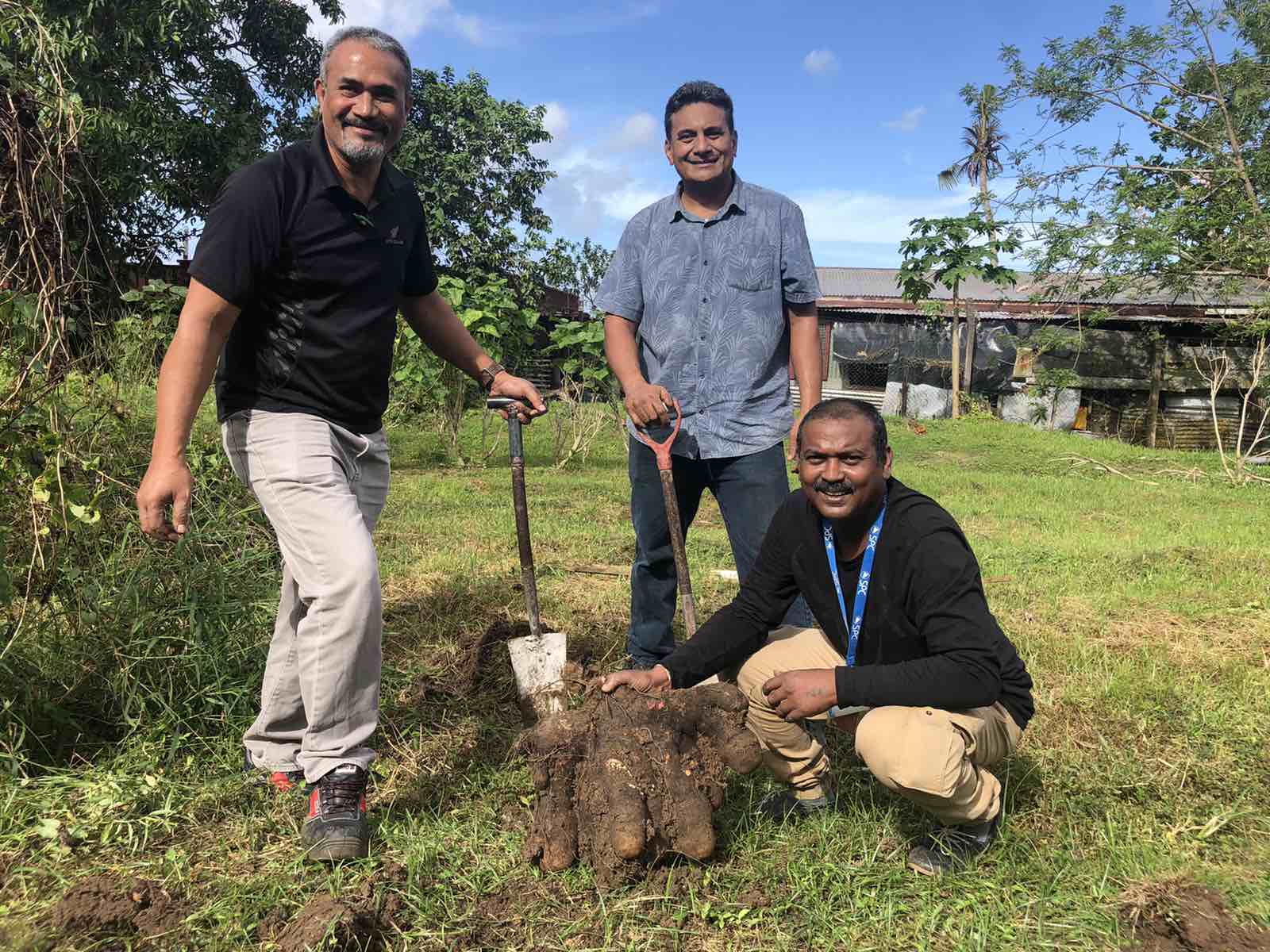 Three men prepping ground for planting