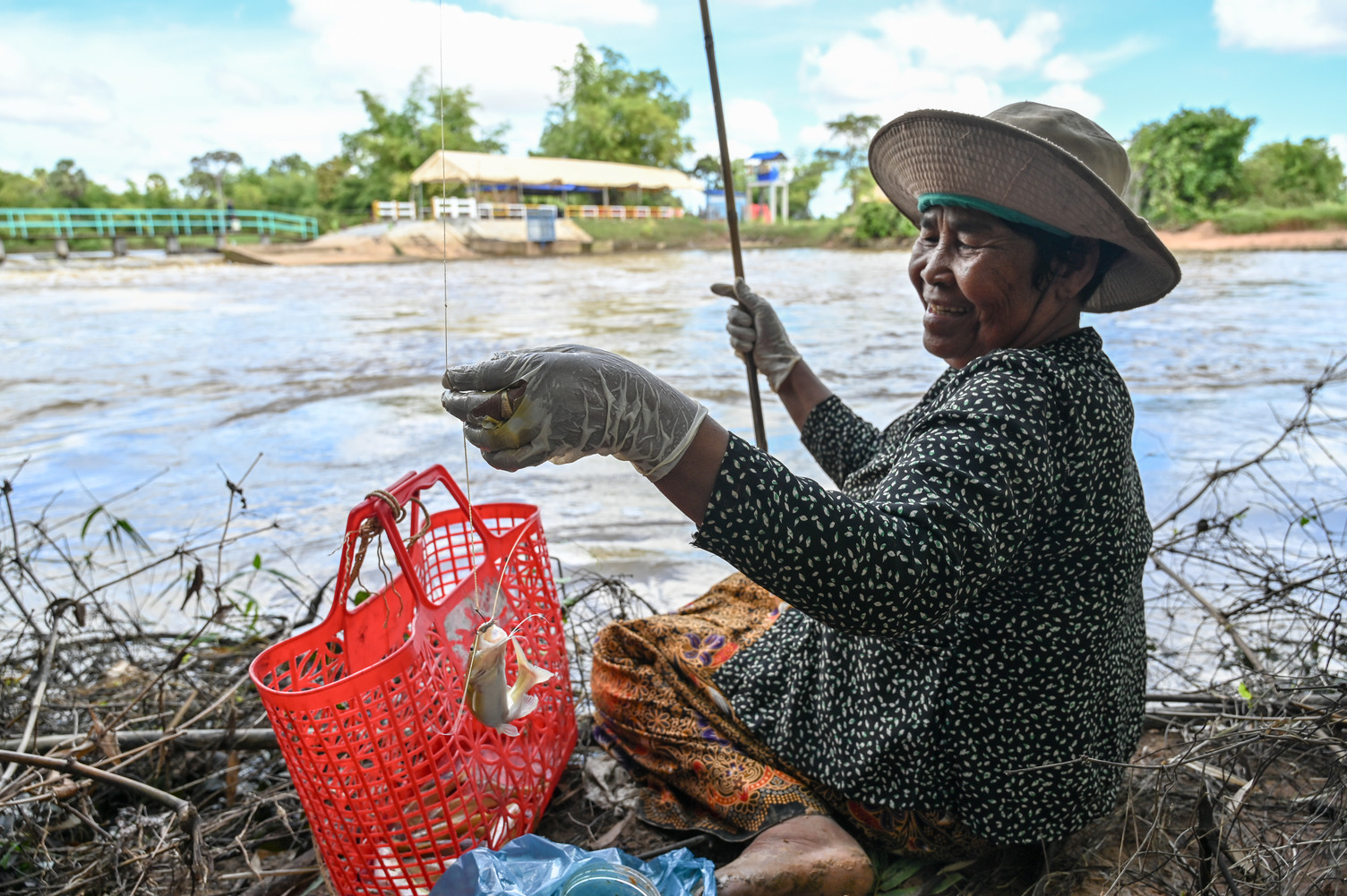 Wild-caught fish, especially small-bodied species, are a vital food source for rural Cambodian communities, providing essential nutrients and protein for families, particularly pregnant women and children.