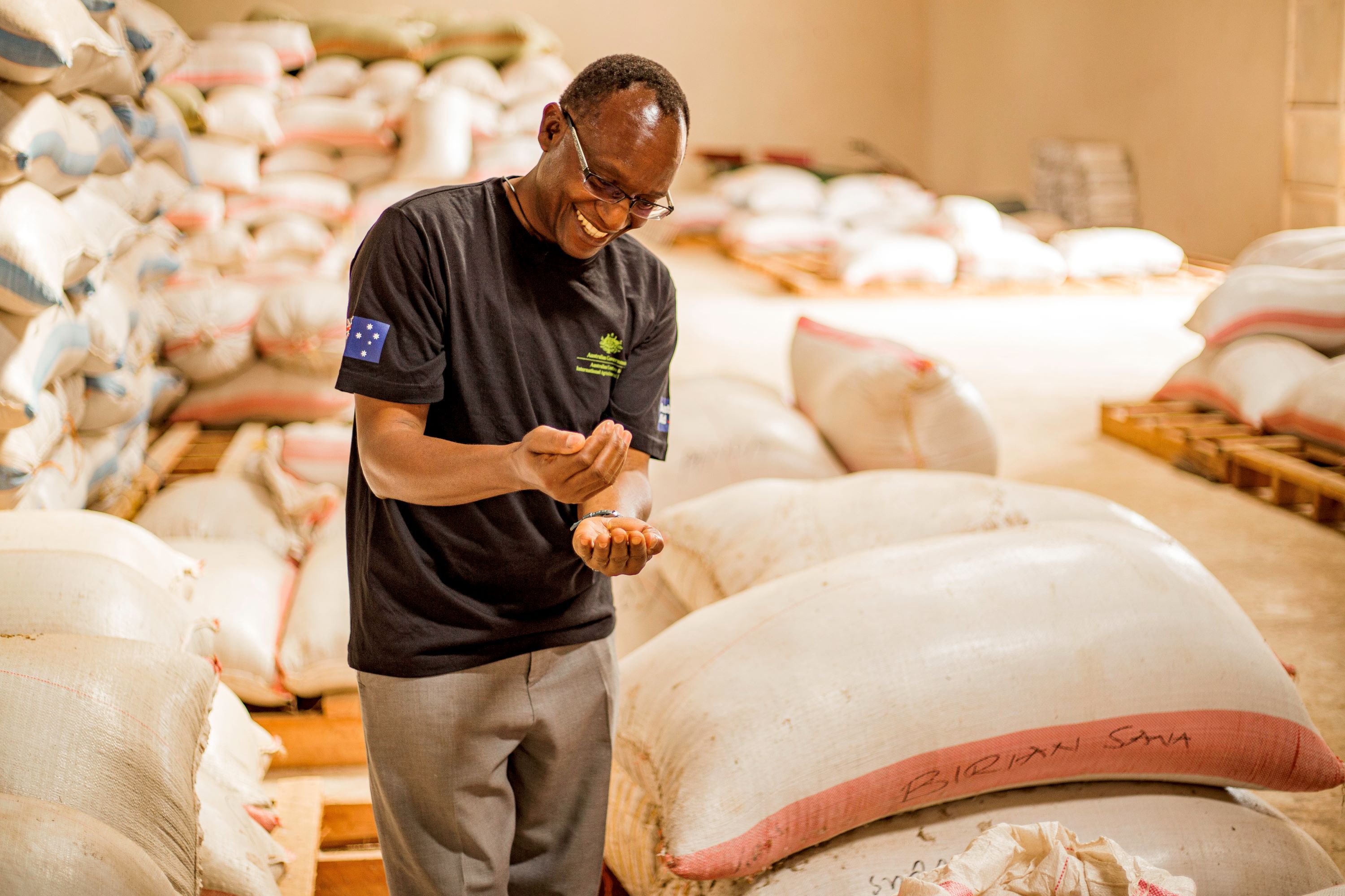 Man smiling and inspecting rice grains in his hands with bags of rice around him