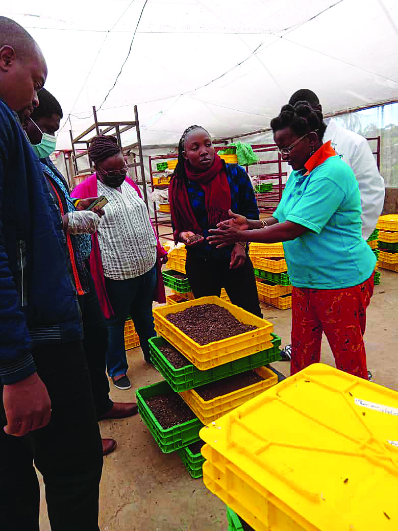 a group of people talking together surounded by crates of black soldier flies