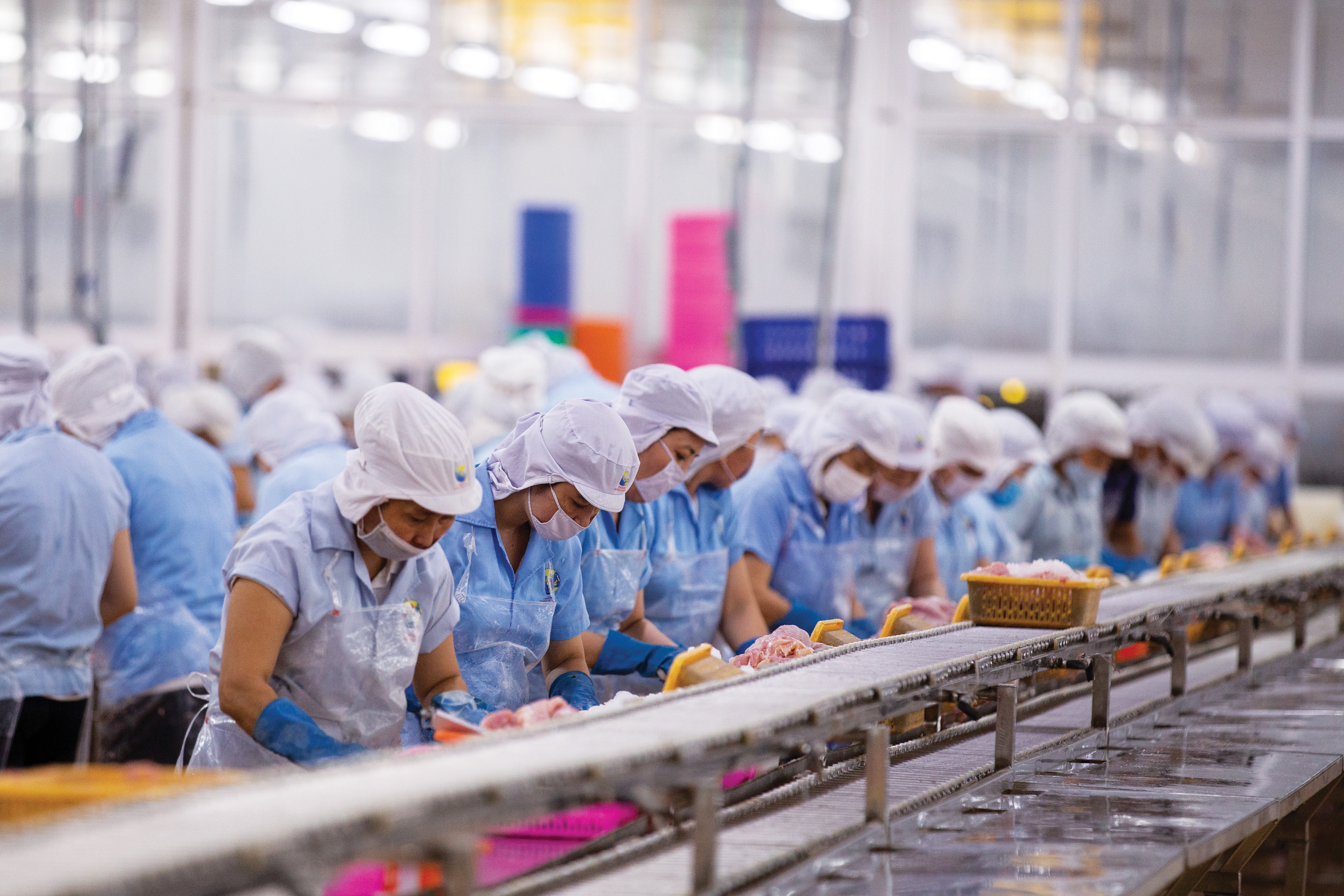 workers processing catfish wearing blue uniforms and white hairnets