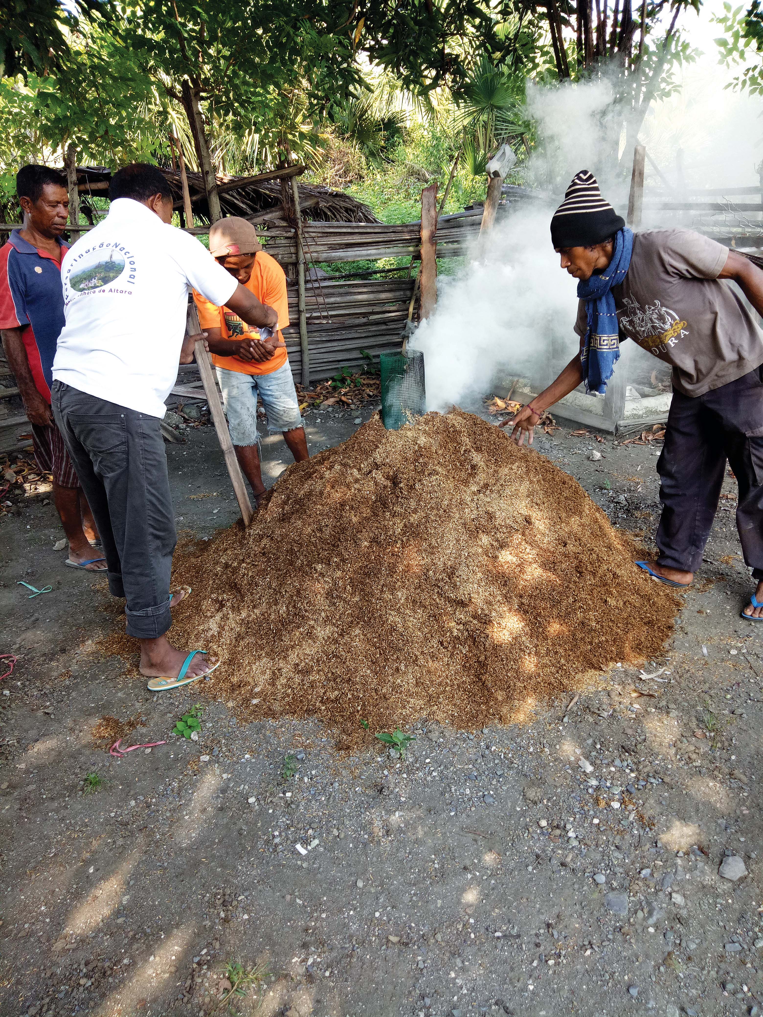 Men burning a large pile of rice hulls