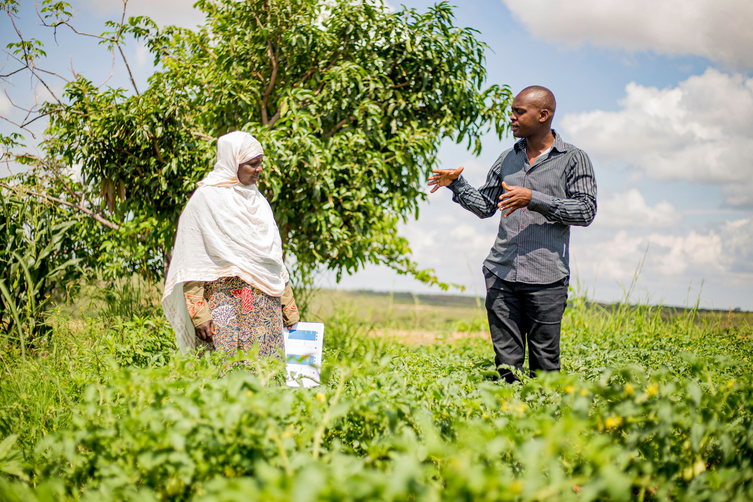 a woman and man talking while standing in the middle of a field of green low ground covering plants.