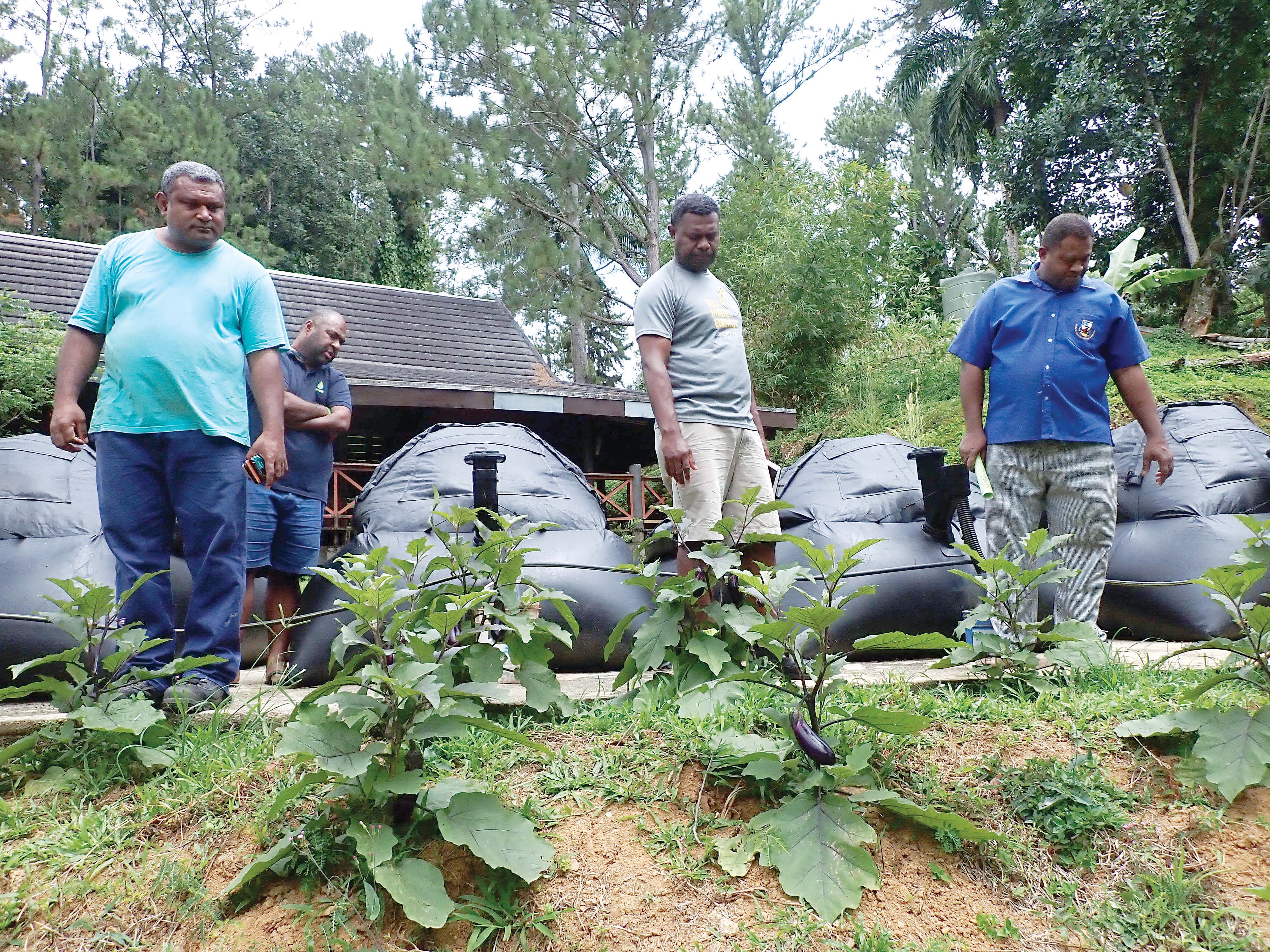 a group of 4 men outdoors looking down at growing plants.