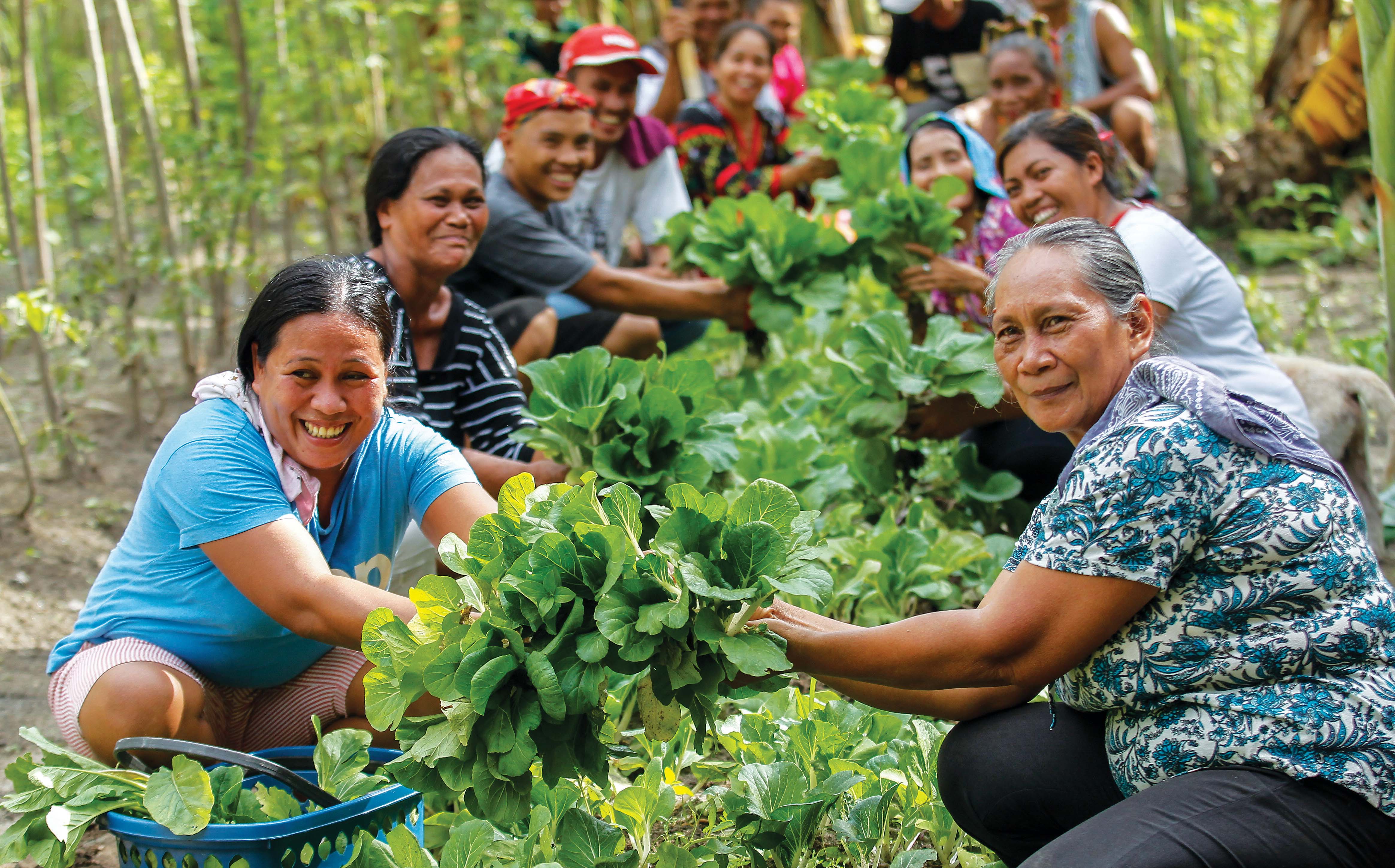 a group of women and men happily tend to growing vegetables. They are outdoors, and are crouched down in two long rows.