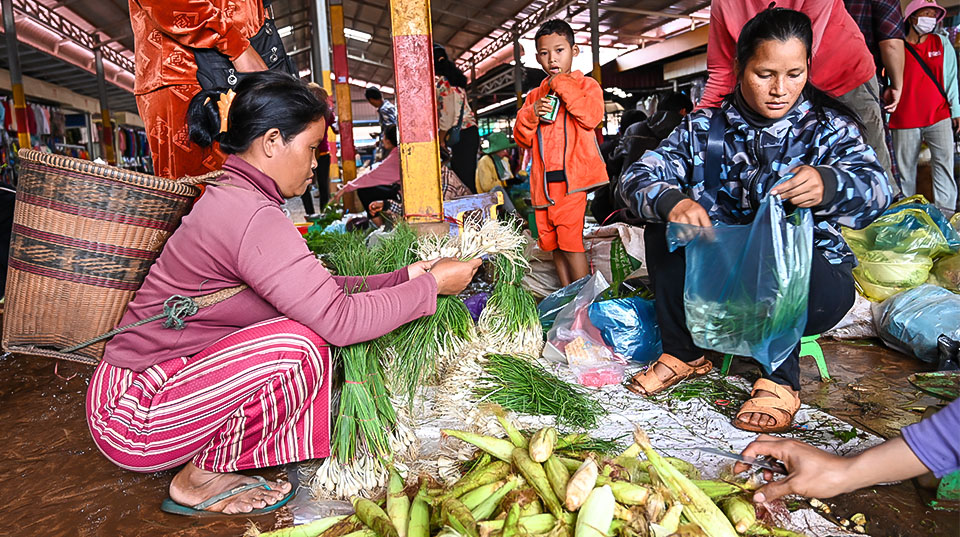 Indigenous Cambodian farmers from Ratanakiri and Mondulkiri provinces