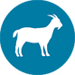 An illustration of a goat on a blue background.
