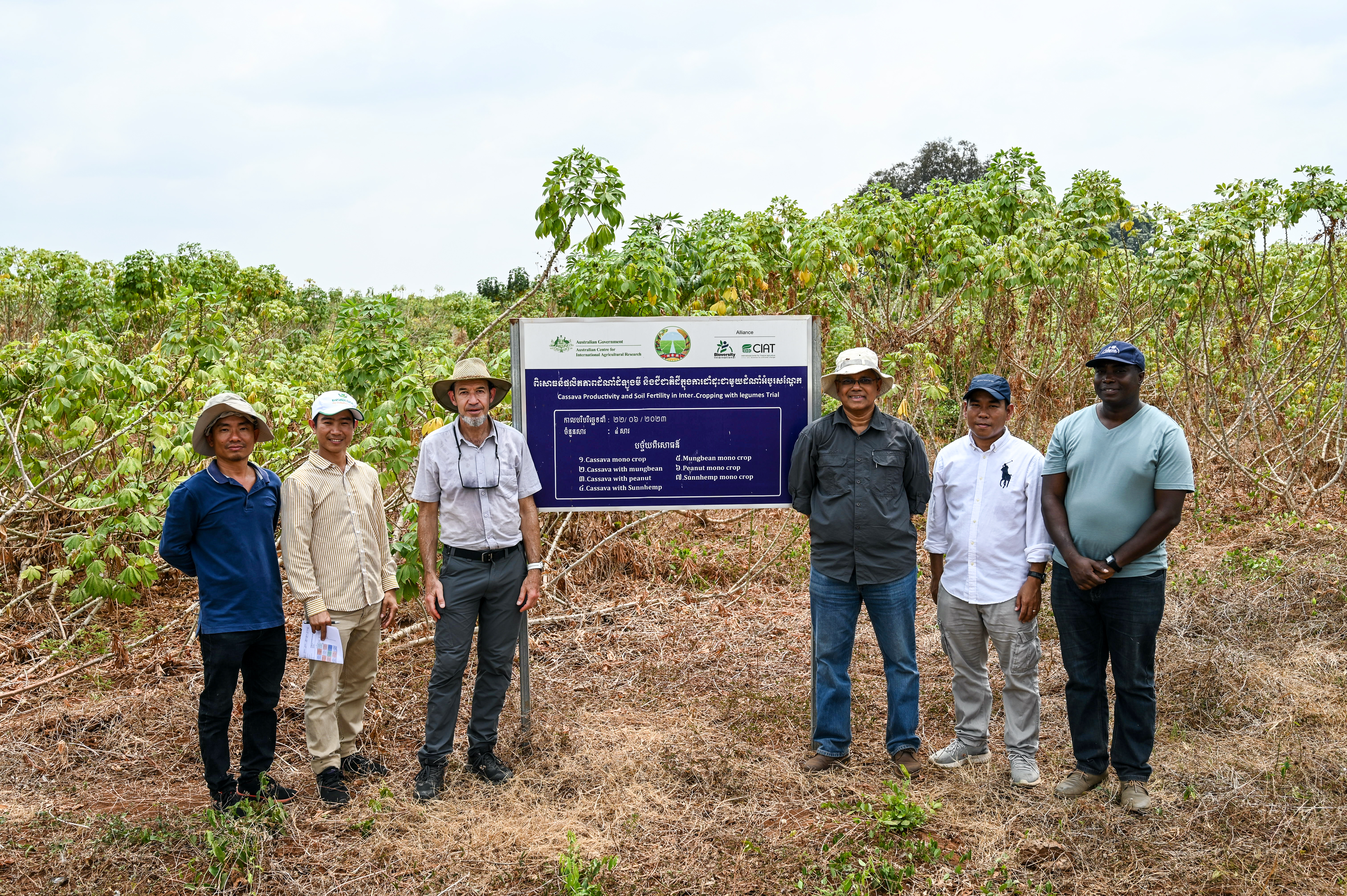 Group of 6 people standing near sign in front of crop fields of cassava