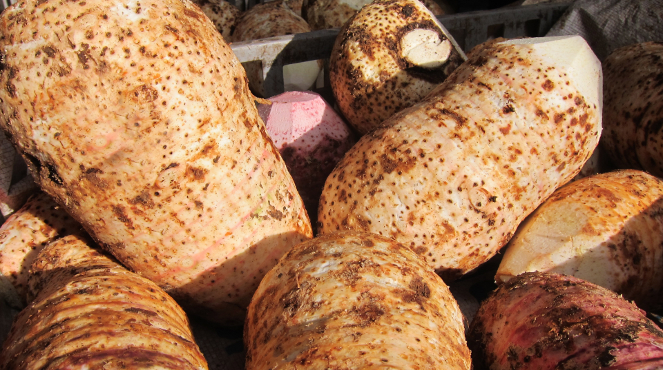 A close-up of pieces of taro.