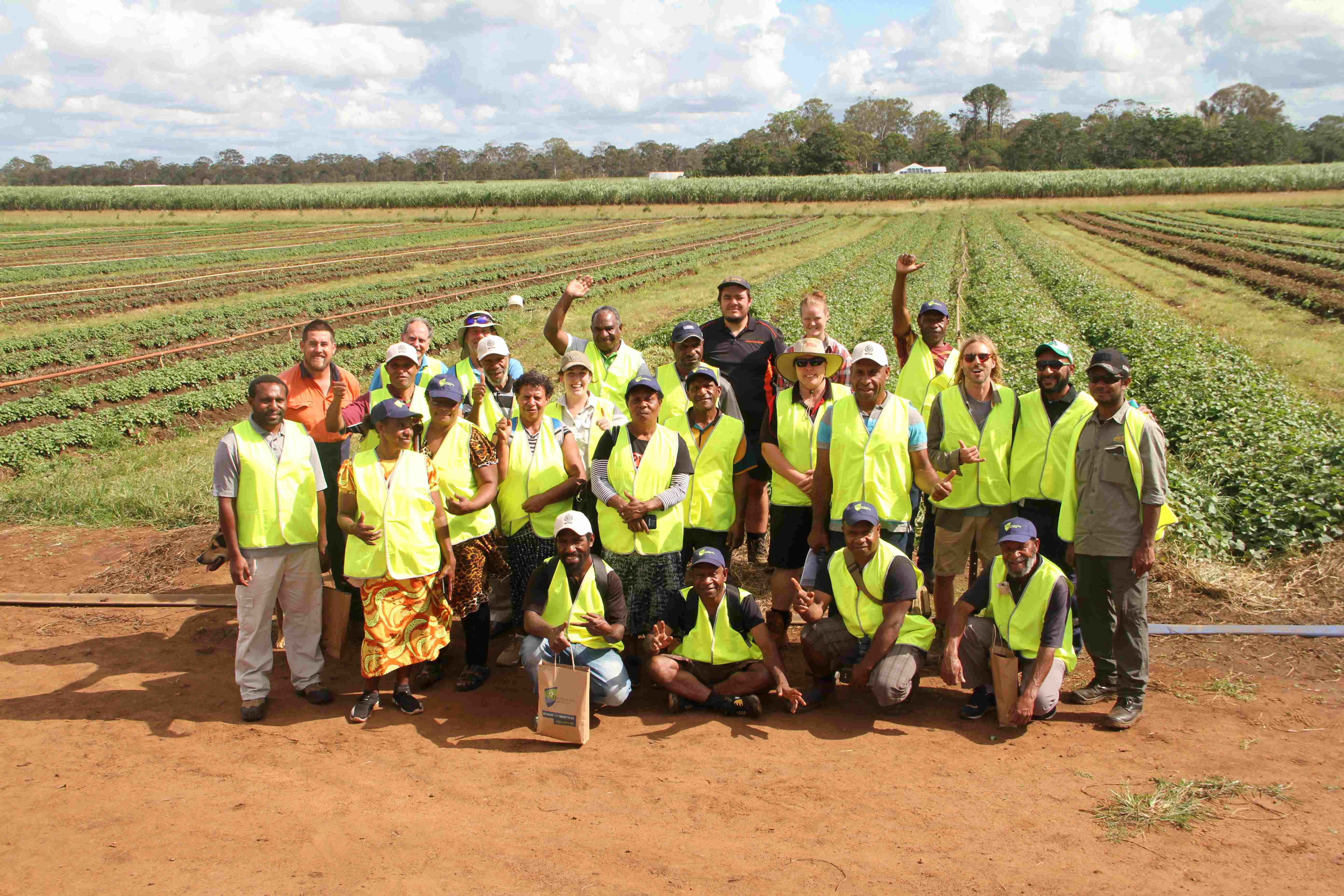A group of 24 people gathered together at the end of a field with rows of sweetpotato growing behind them. 