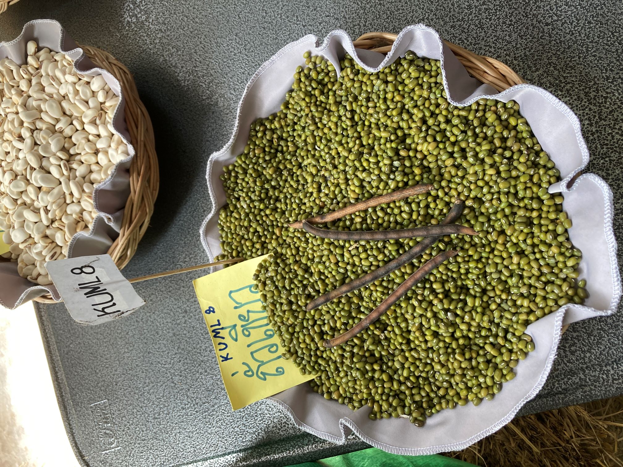 Bowl of mungbean next to a bowl of rice