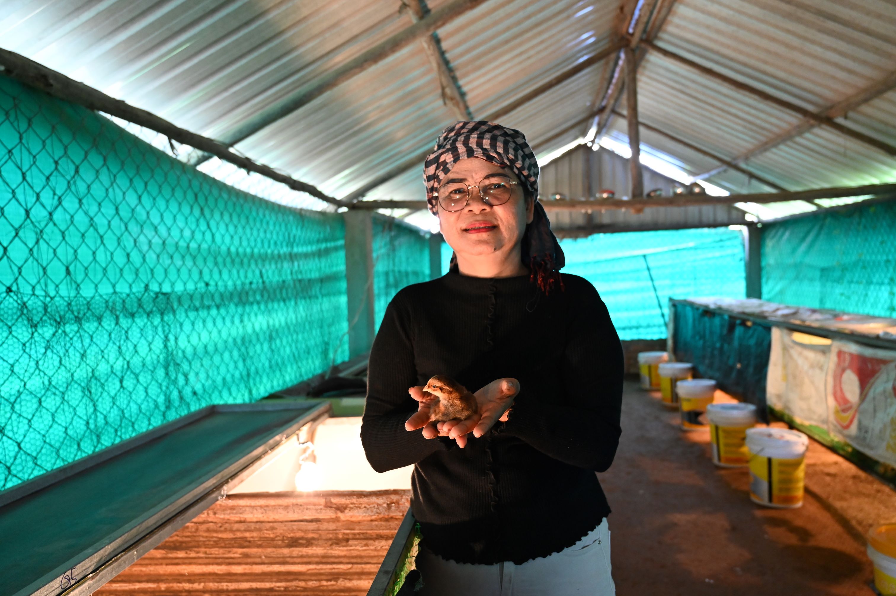 Woman holding baby chicks in hatchery