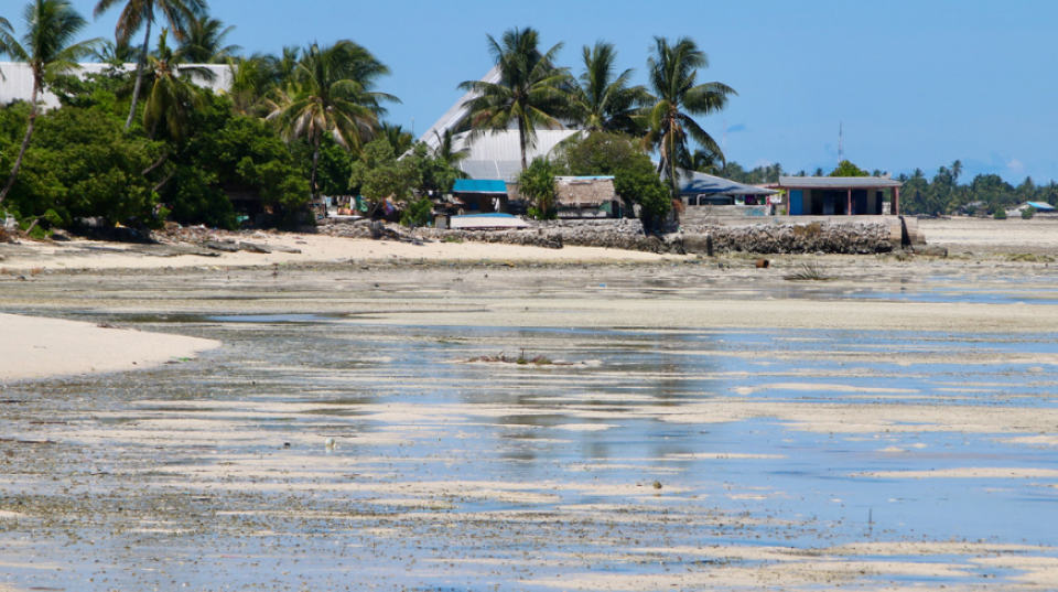 a wide shot of a beach with houses and coconut trees in the distance by the shore