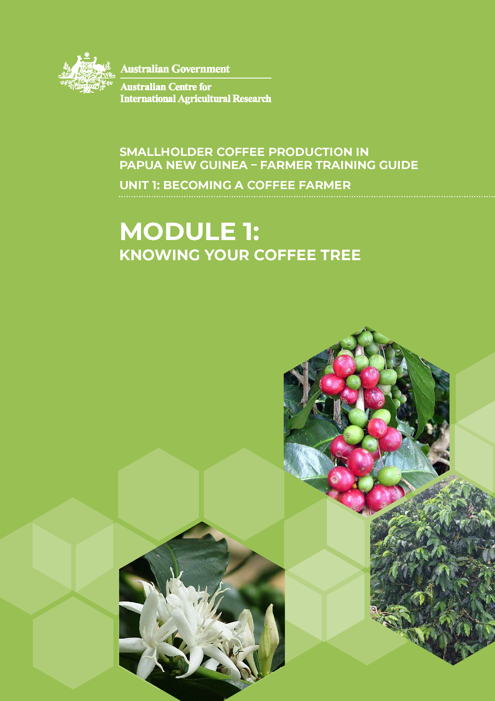 cover image of book