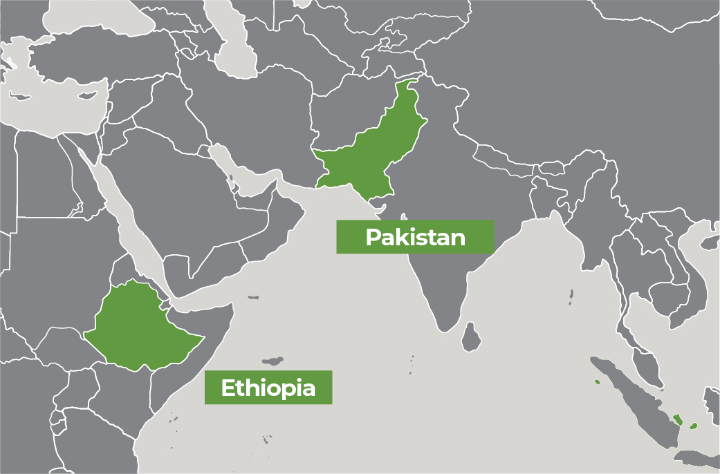 An illustrated map showing Ethiopia and Pakistan