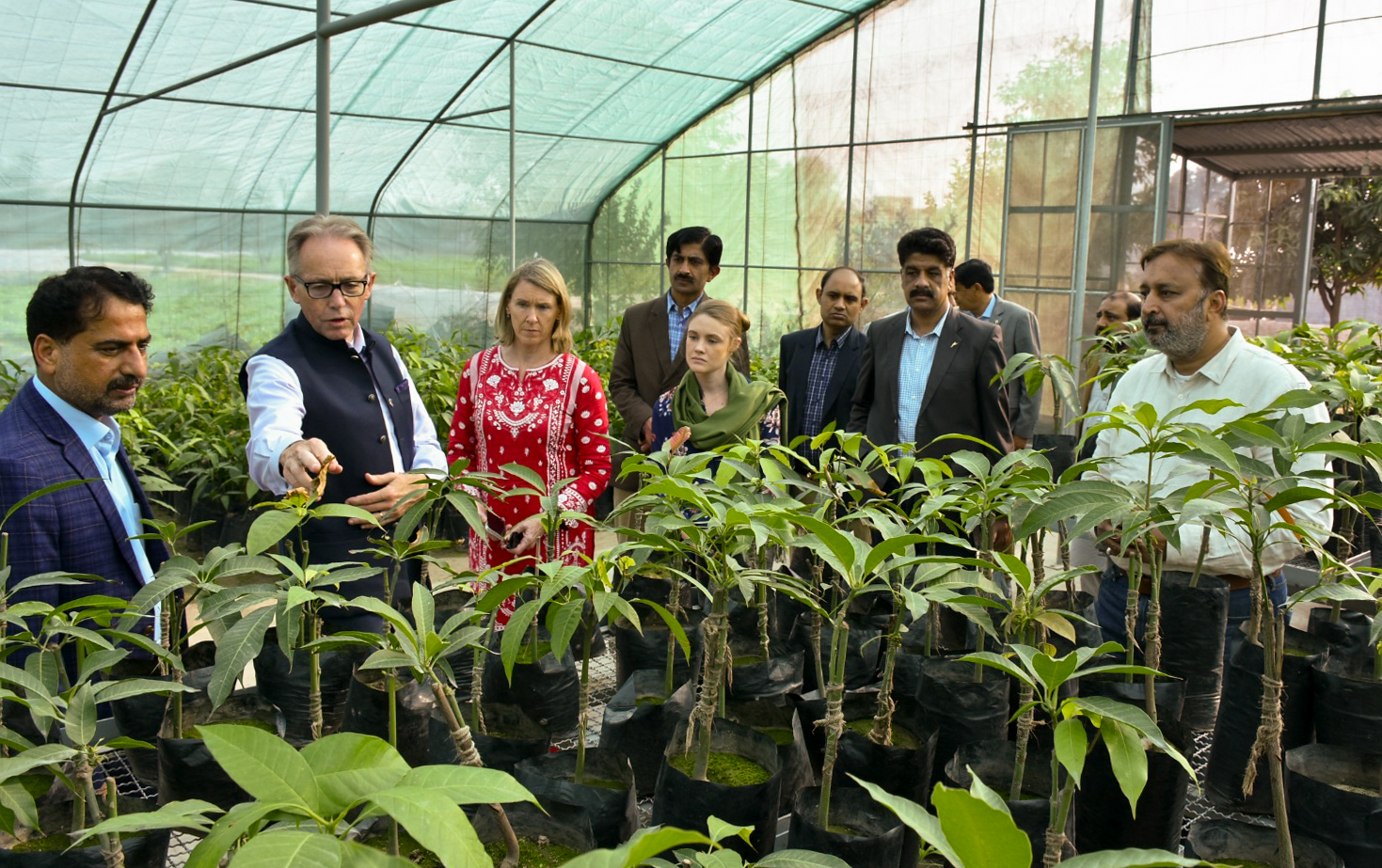 Australian High Commissioner Neil Hawkins (second from left) visits greenhouse trials being conducted as part of an ACIAR-supported project. Photo: ACIAR