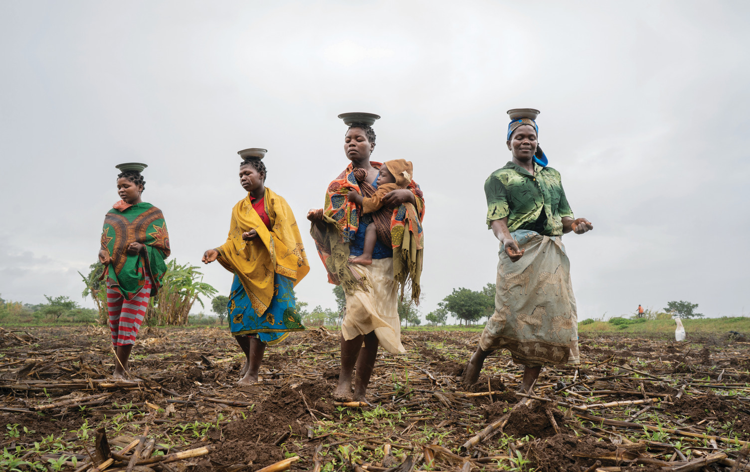 Smallholder farmers in Mozambique participating in the ACIAR-funded SIMLESA program, which helped more than 480,000 farmers across eastern and Southern Africa increase food production and boost farmer livelihoods.