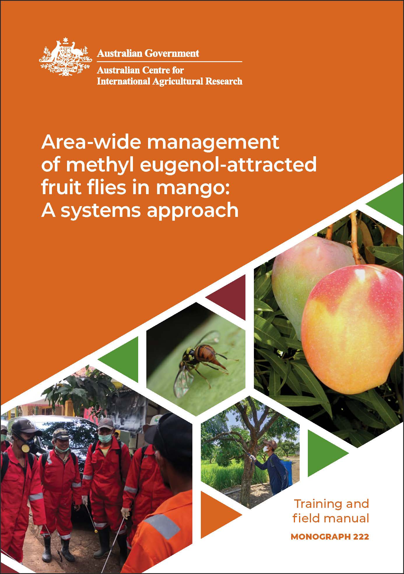 Cover of fruit fly in mango manual