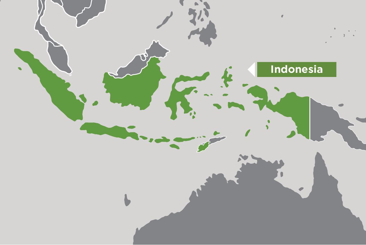 Map highlighting and pointing to Indonesia