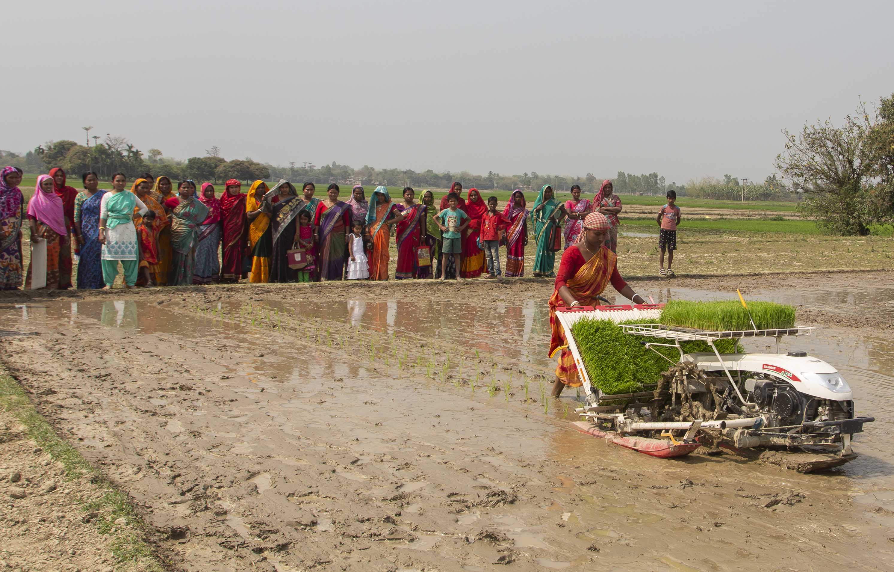 Long-running ACIAR initiatives in the Eastern Gangetic Plains worked with smallholder farmers across Bangladesh, India, and Nepal to introduce sustainable practices and innovations to intensify production.