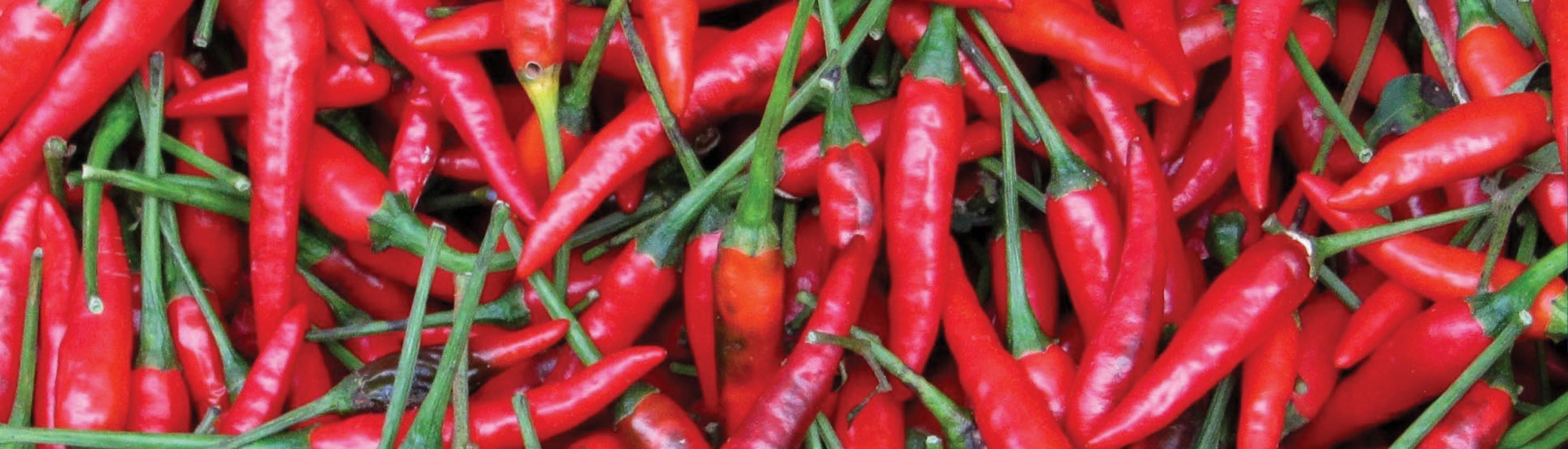 close up image of many chillis