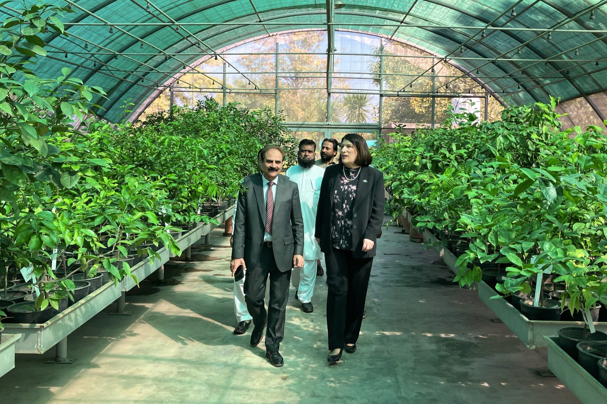 people walking through a large green house, with potted plants in raised  containers 