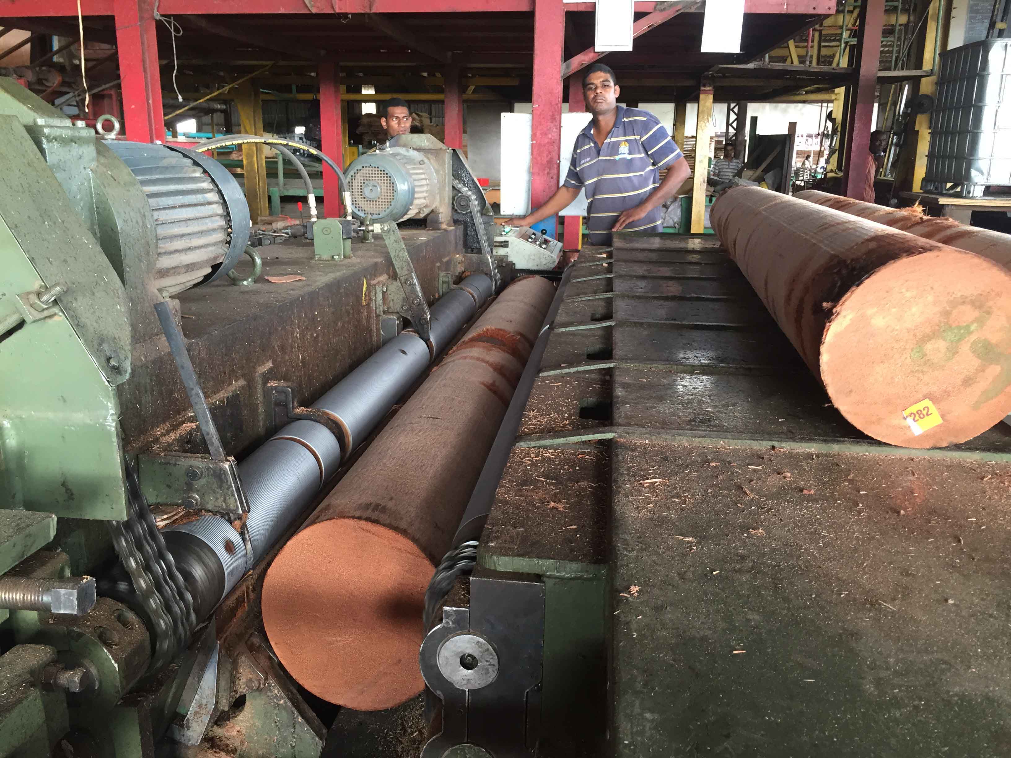 ACIAR-supported research has developed new ways to process coconut logs that allow them to be milled for veneers and other engineered wood products.