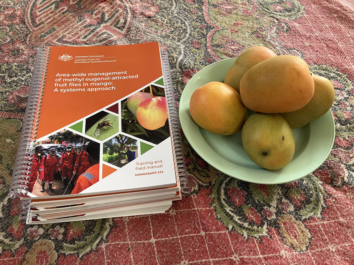 Area wide management mangoes manual