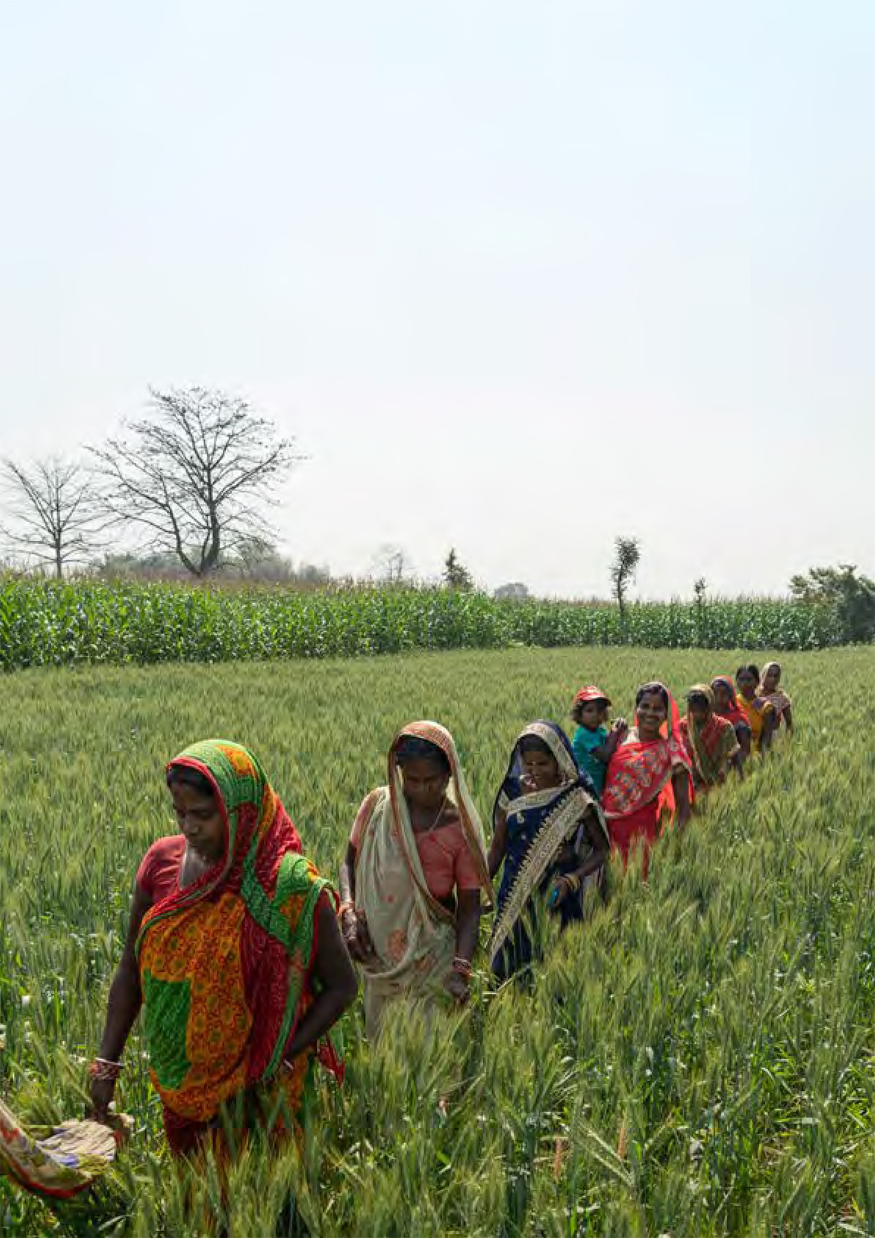 South Asia region program web banner