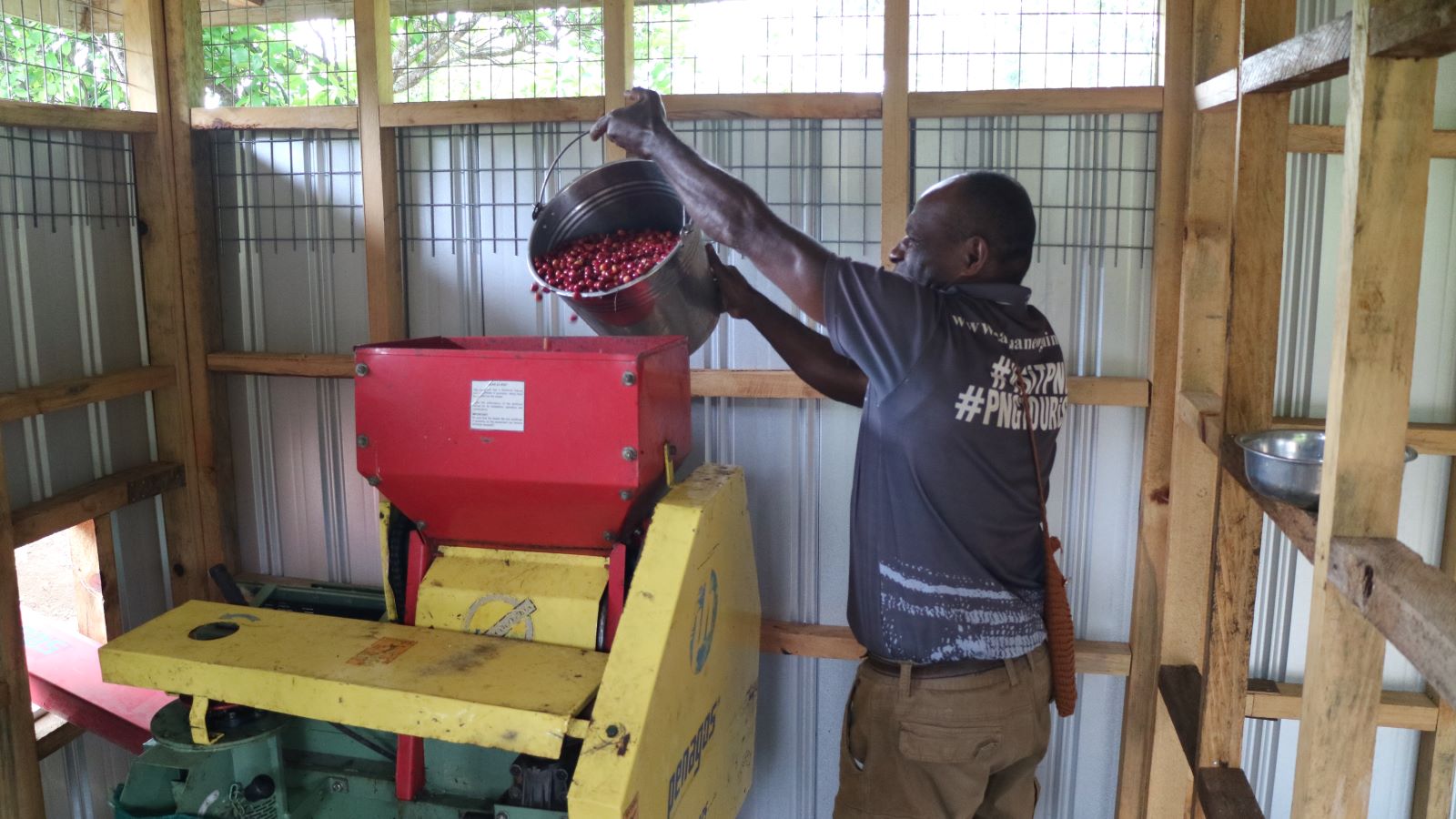 Man pouring coffee berries into a machine. 