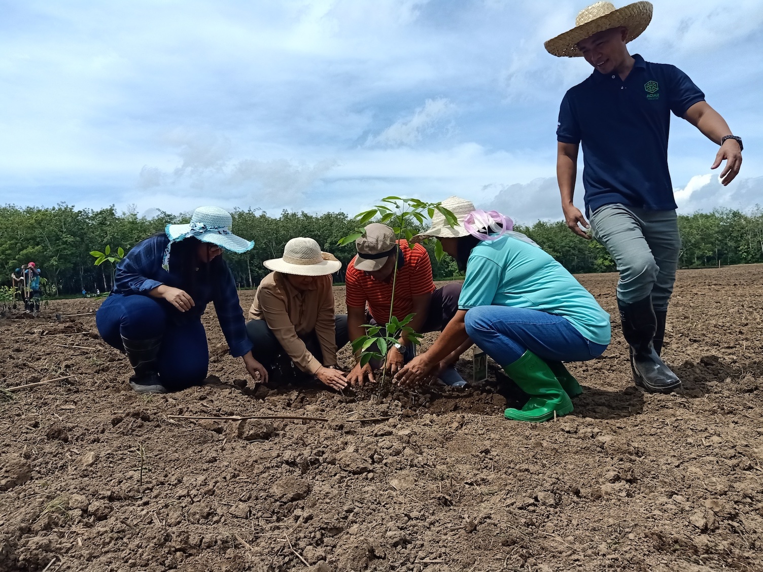 A group of people planting a tree together. 
