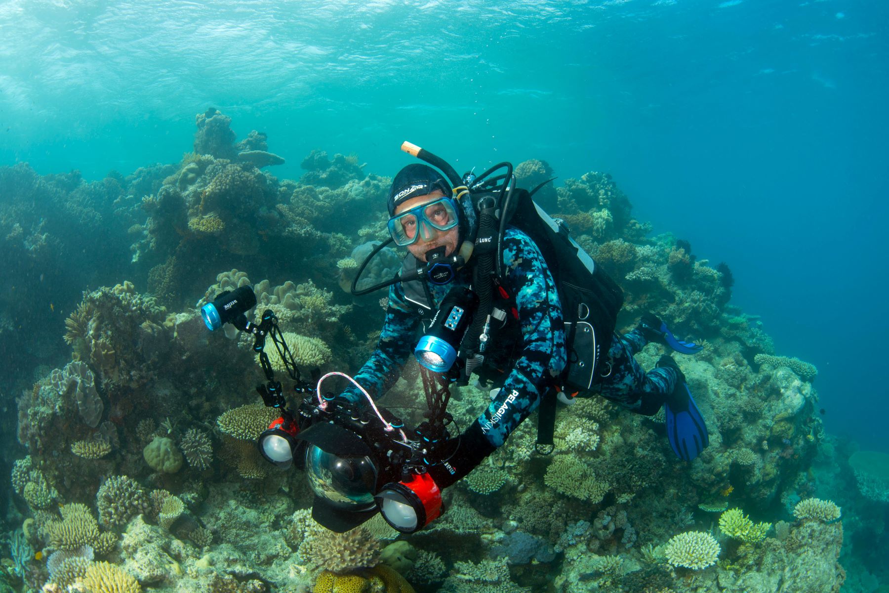 Scuba diver inspecting a coral reef