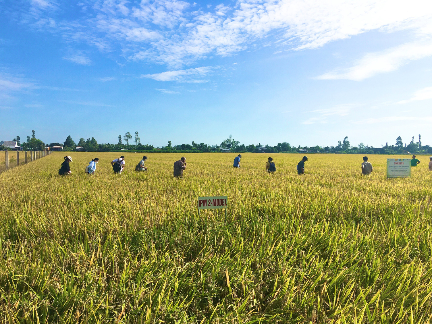 A line of people in a field