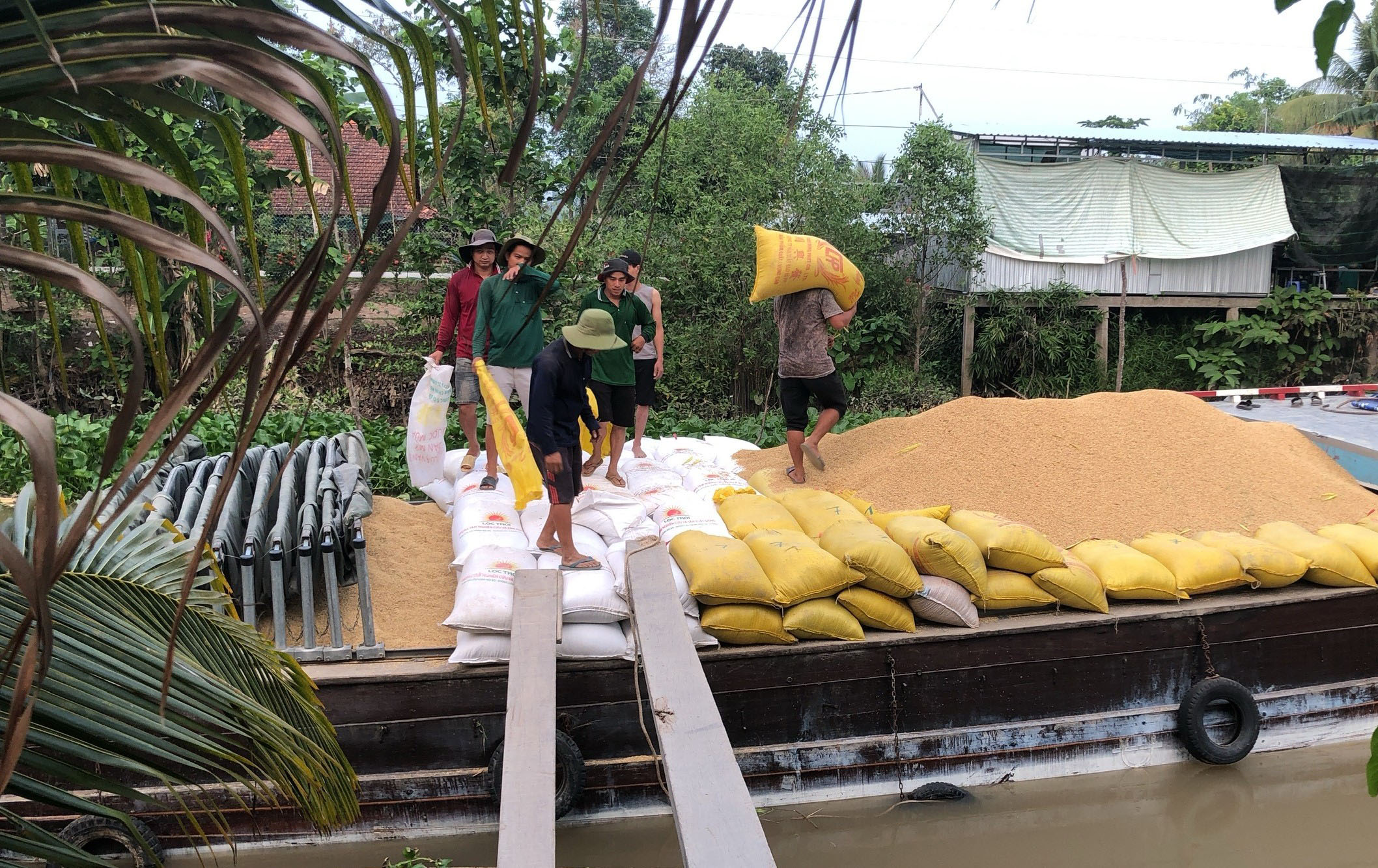 People moving sacks of rice on a boat