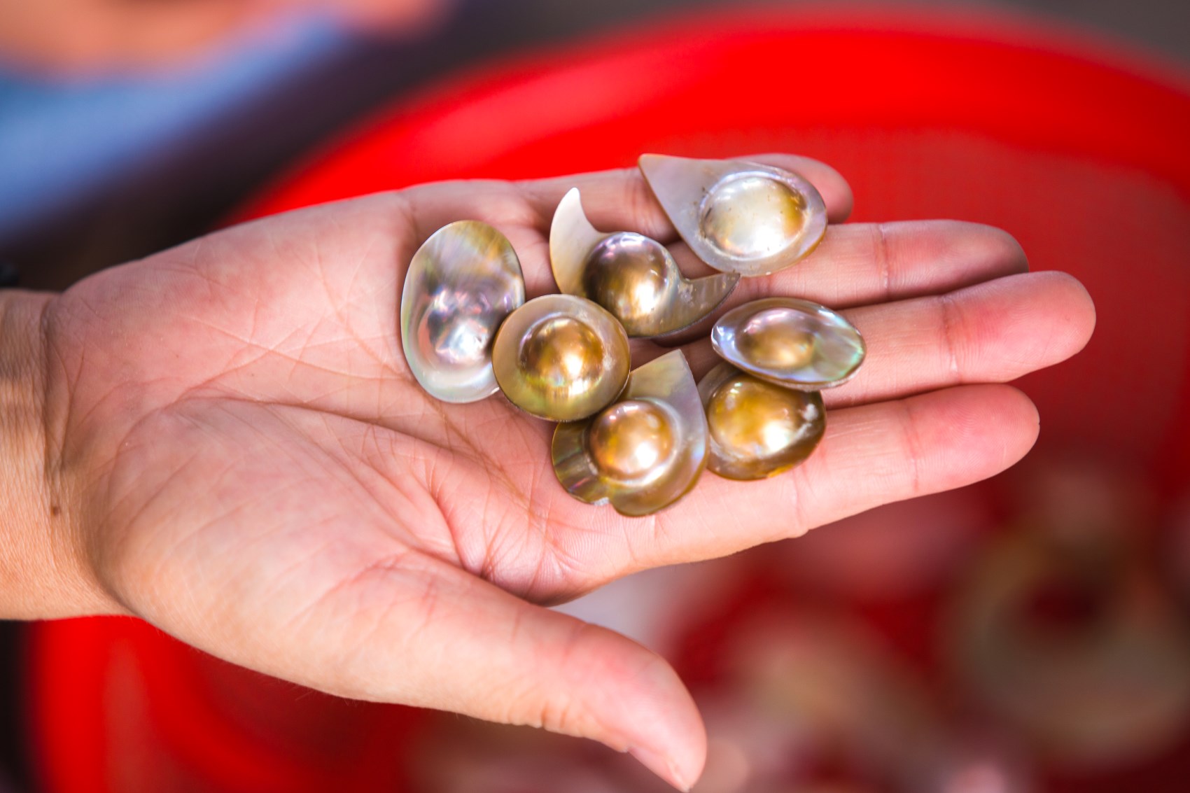 Hand holding pearls