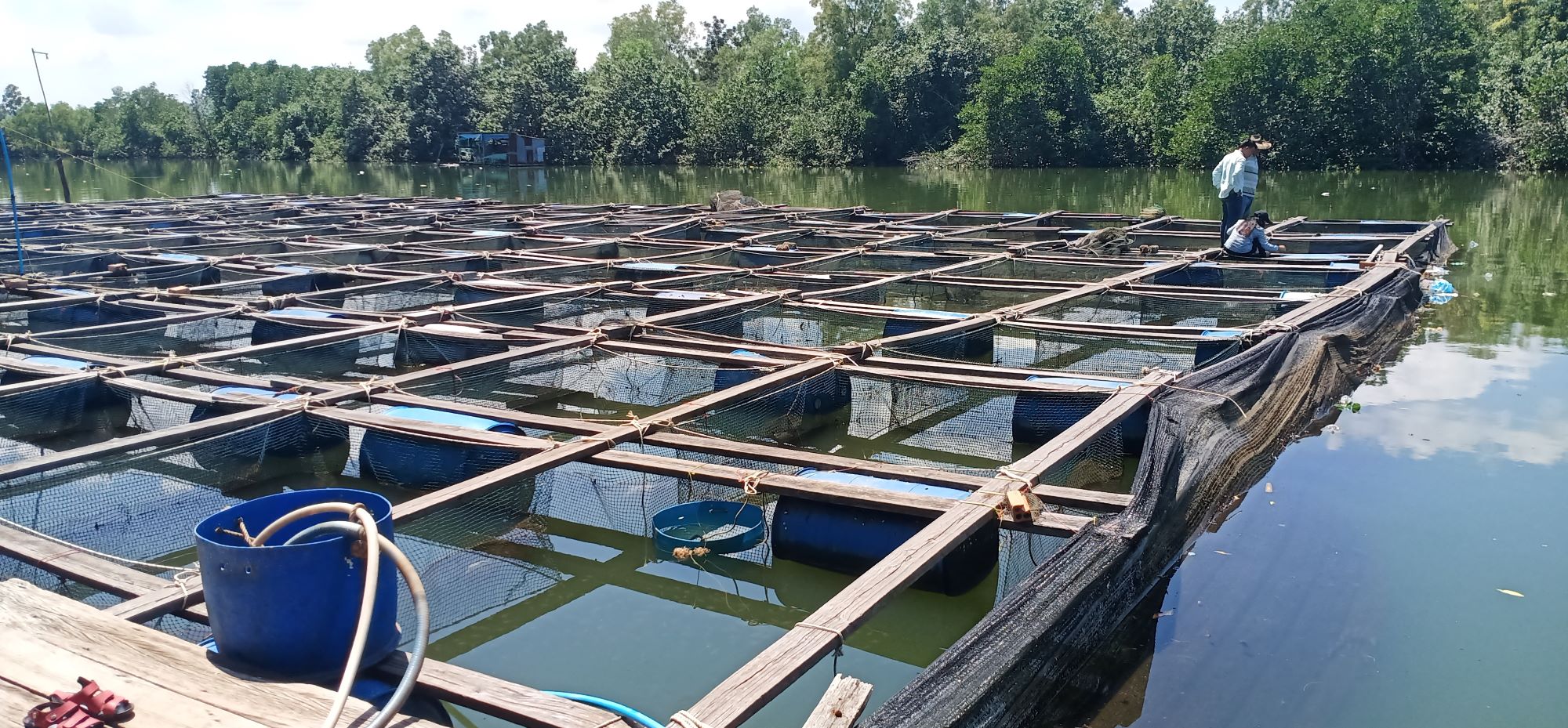 Close up of aquaculture farm