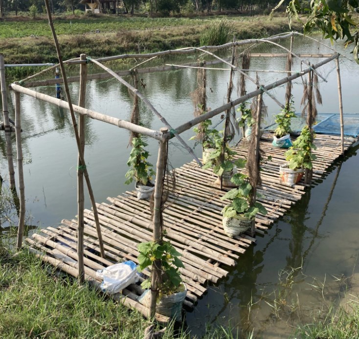 Wooden structure on water