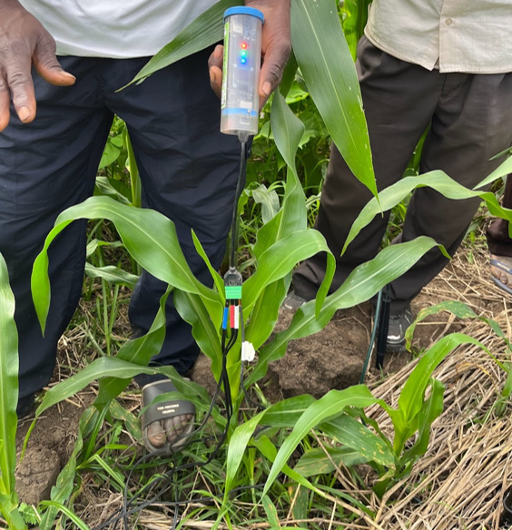 Close up of sensor technology with crops