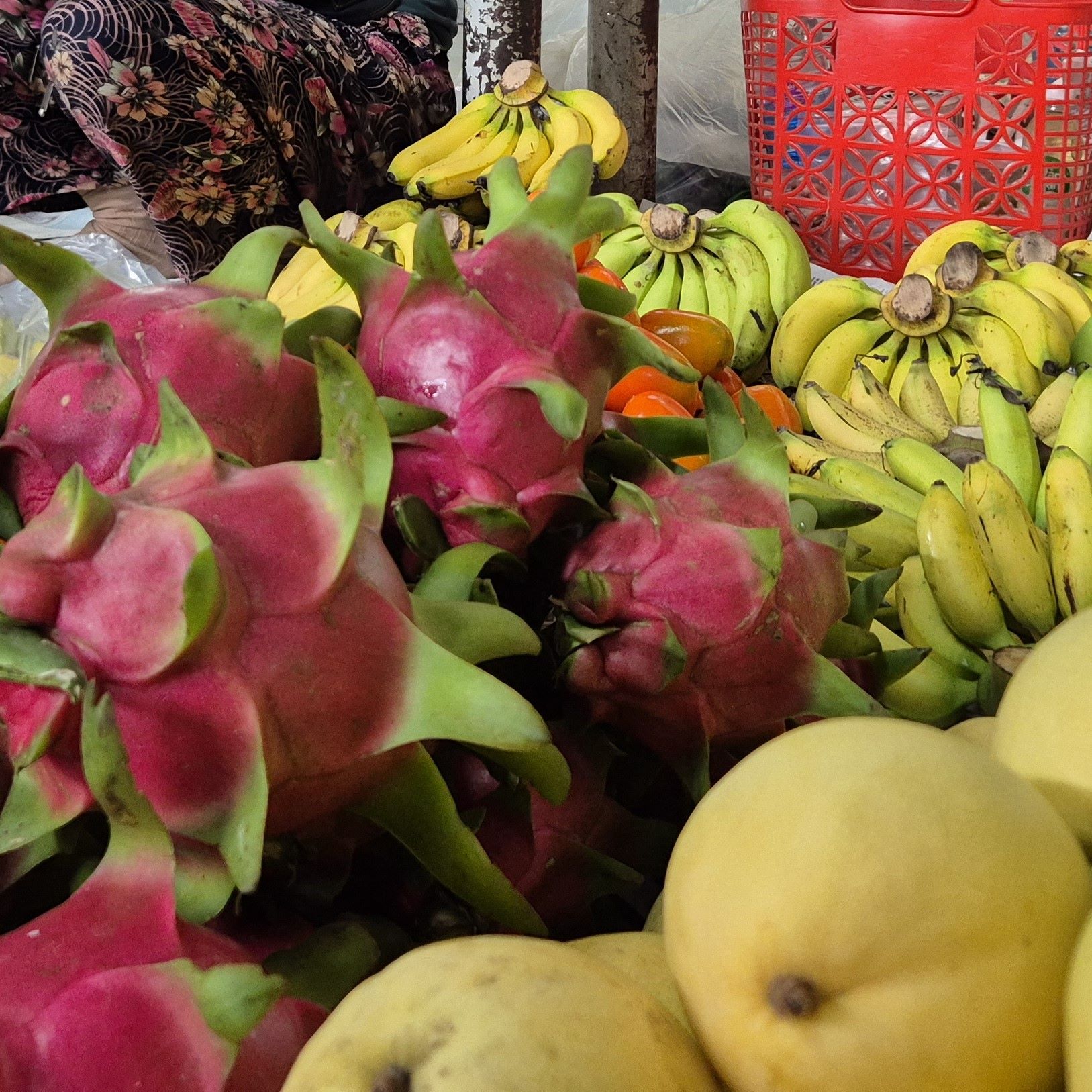 A close up of dragon fruit, bananas and mangoes
