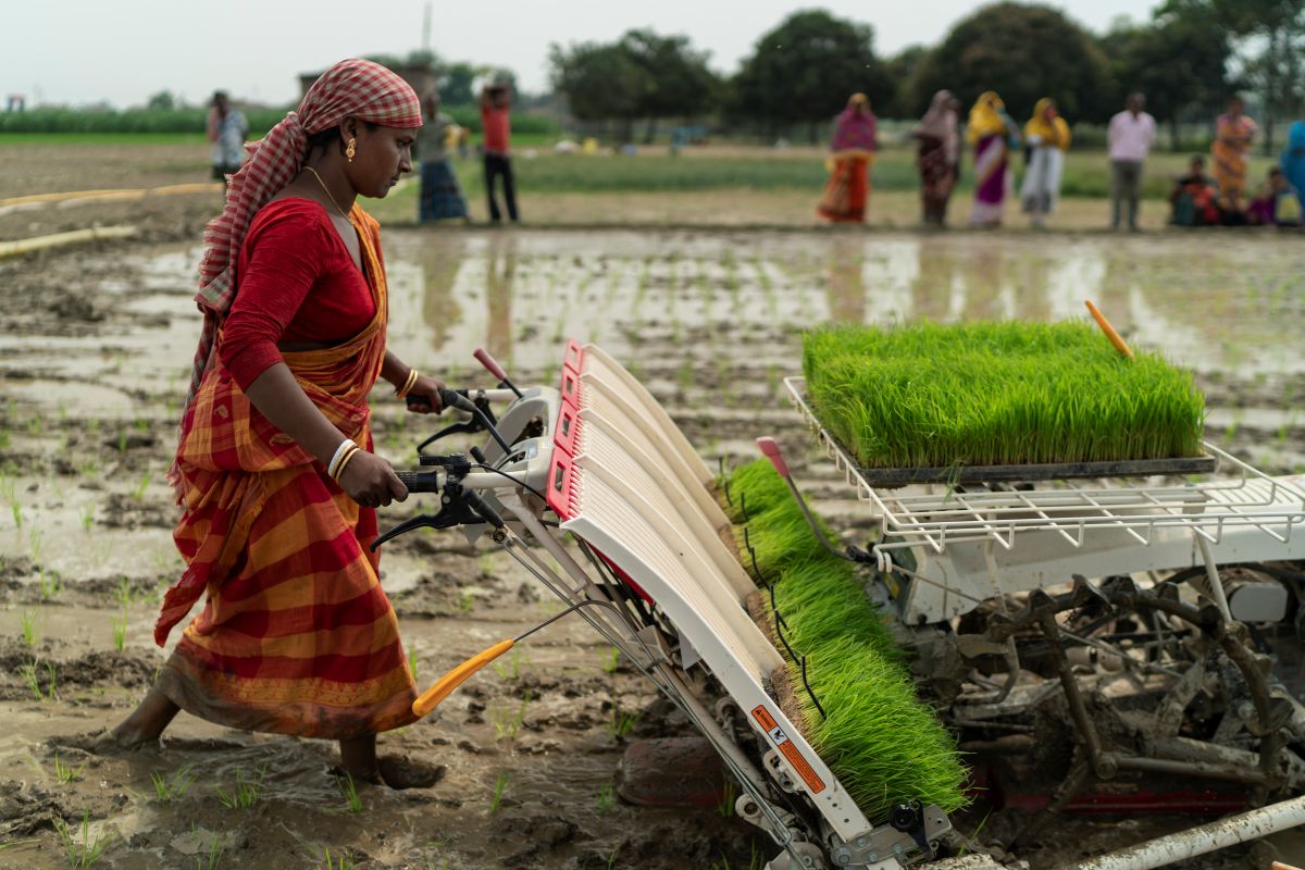 A woman in brightly-coloured clothing operates a rice transplanter in a muddy rice paddy.