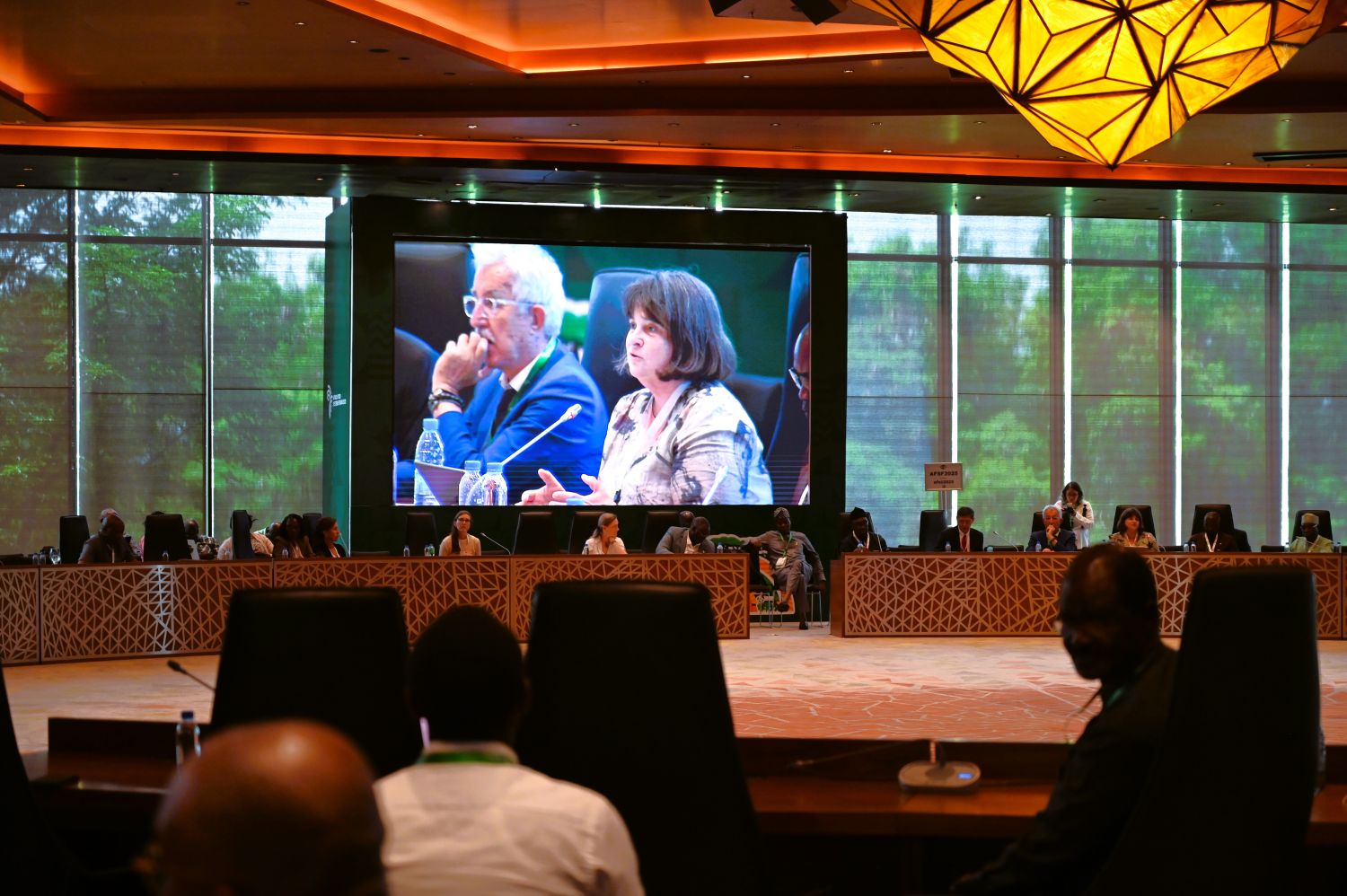 Conference room with delegates seatted arounda table; a large screen shows Two speakers in discussion