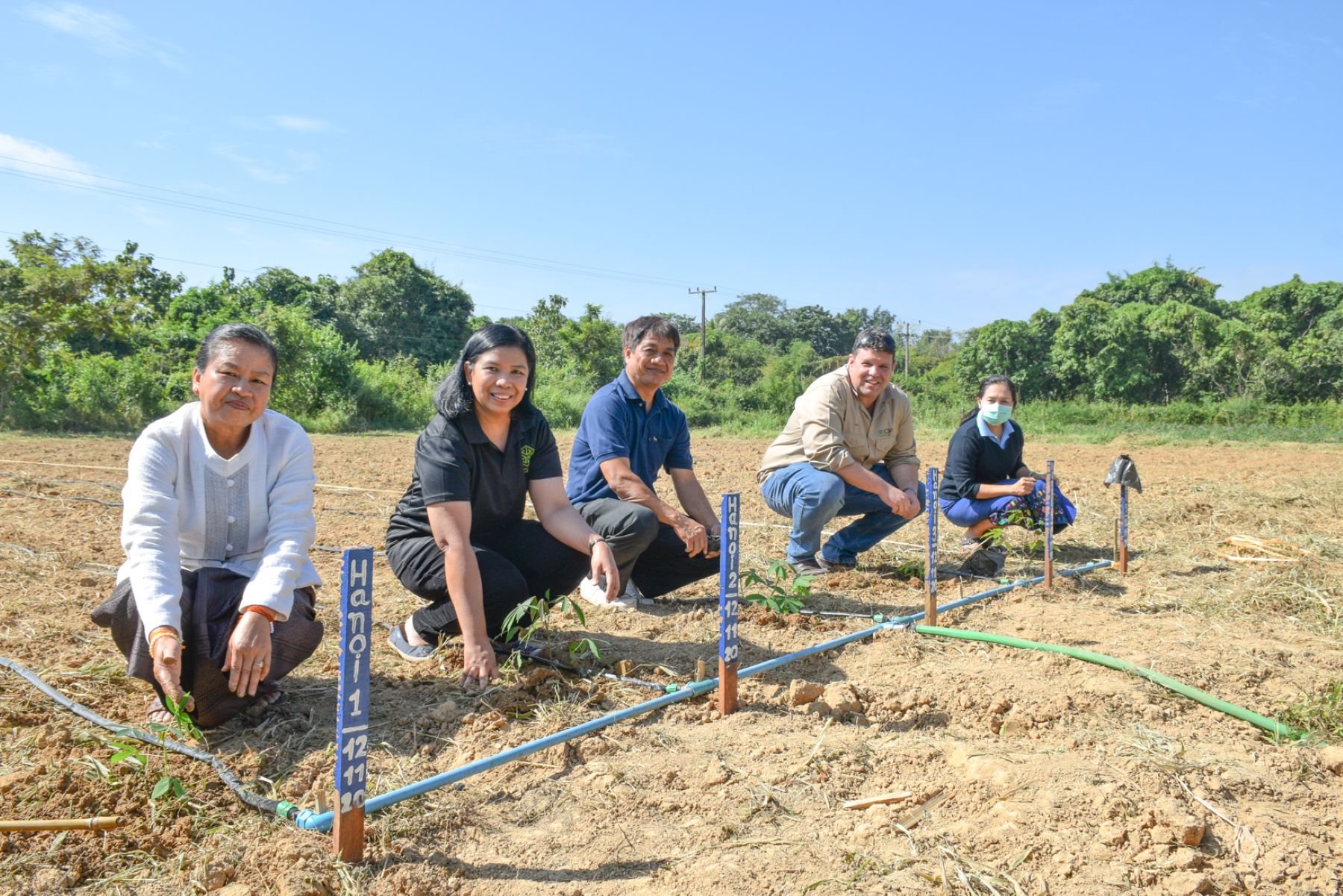 Five people kneel in a field beside newly planted seedlings in a field trial. 
