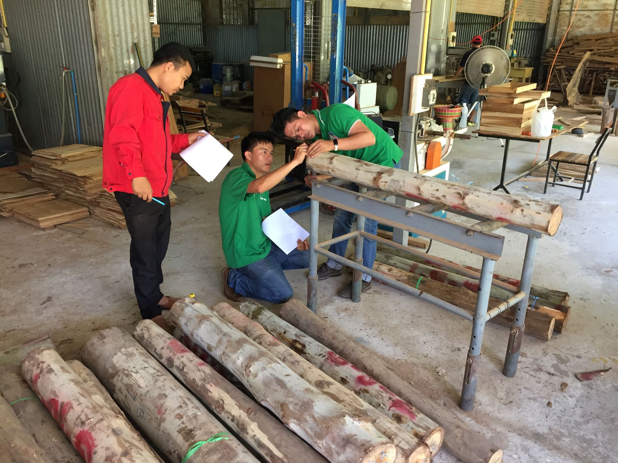 People inspecting a timber log inside a workshop, with tools and processed timber visible around them. 