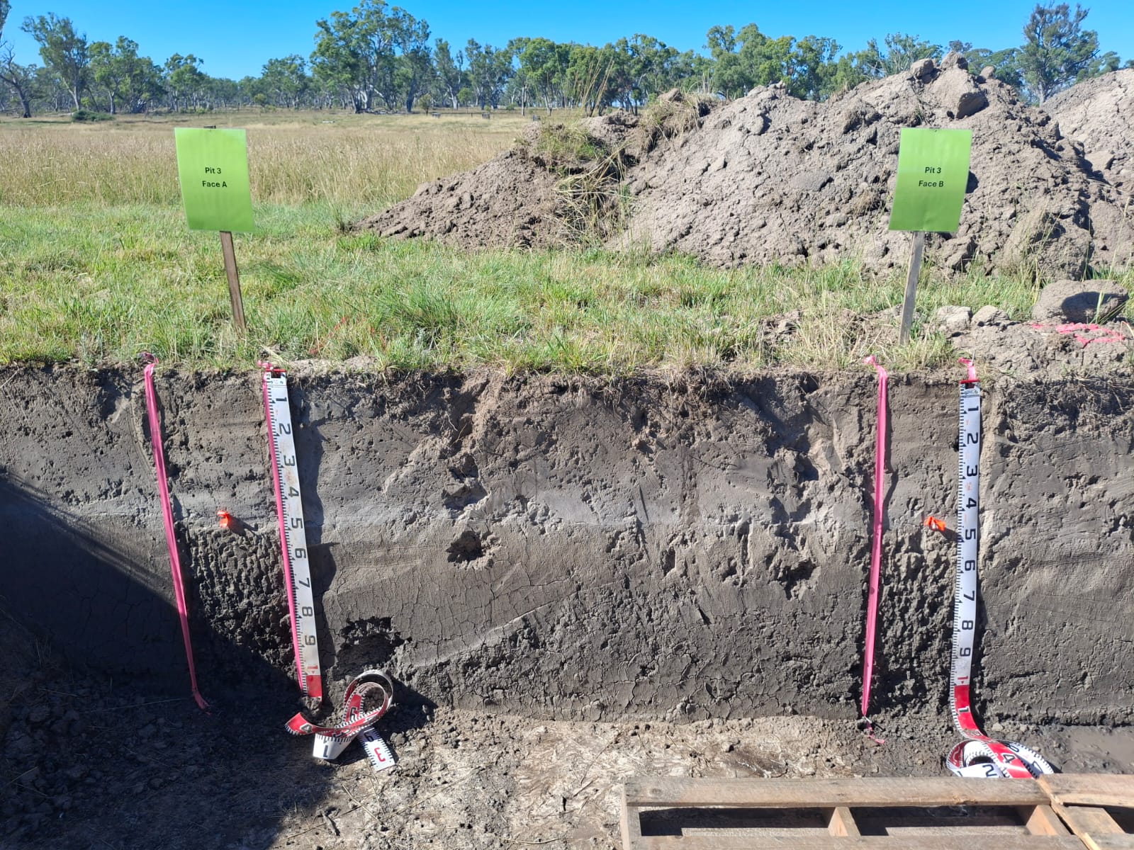 A wall of soil in a field with measuring tape. 