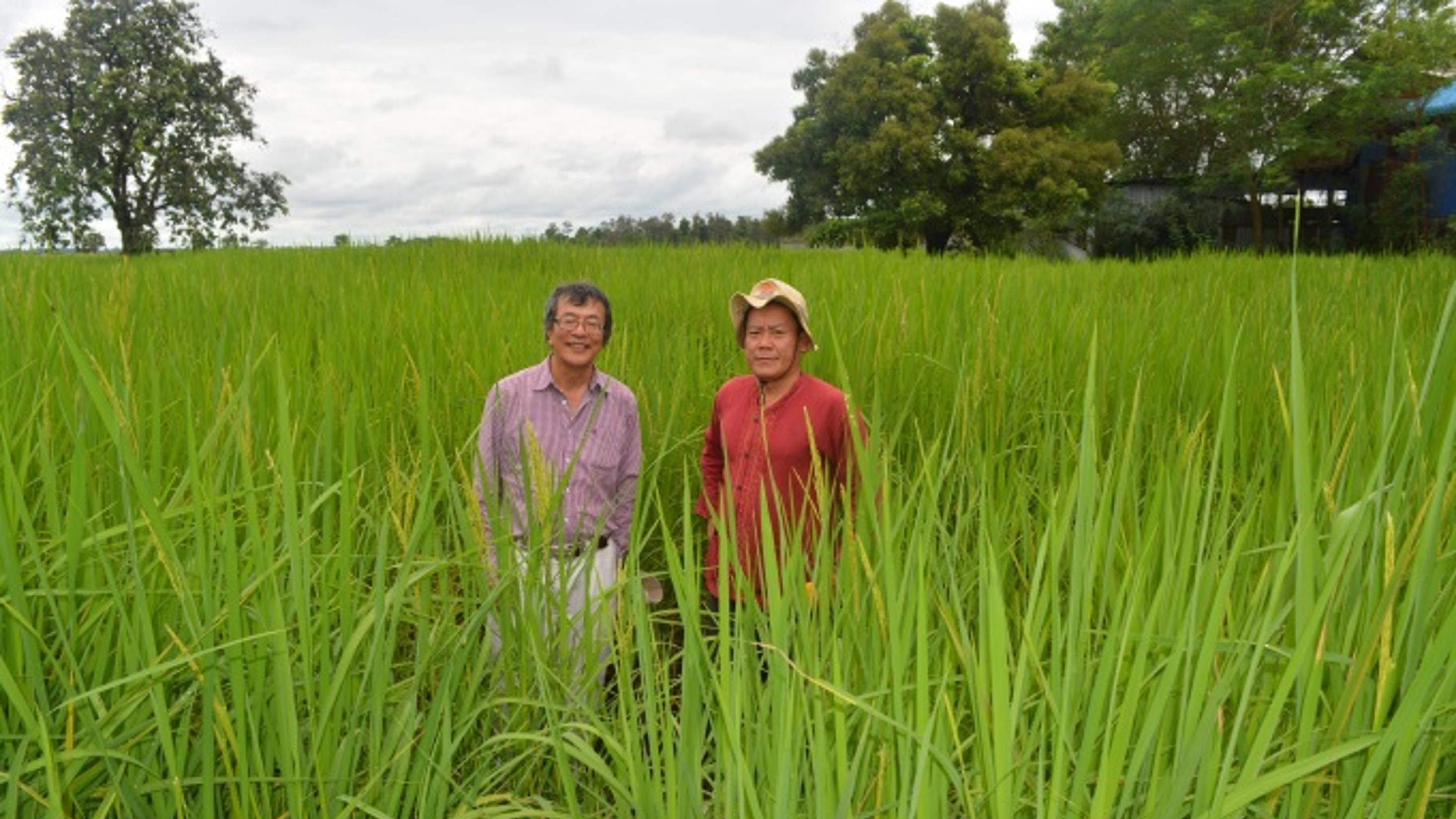 Two people stand in a field of crops, surrounded by trees in the background.