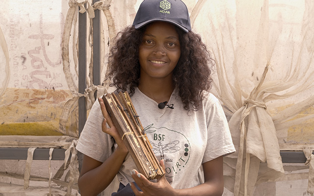 A person wearing a cap and T‑shirt holds a bundle of wooden slats or insect‑rearing materials while standing in a workspace lined with netted enclosures.