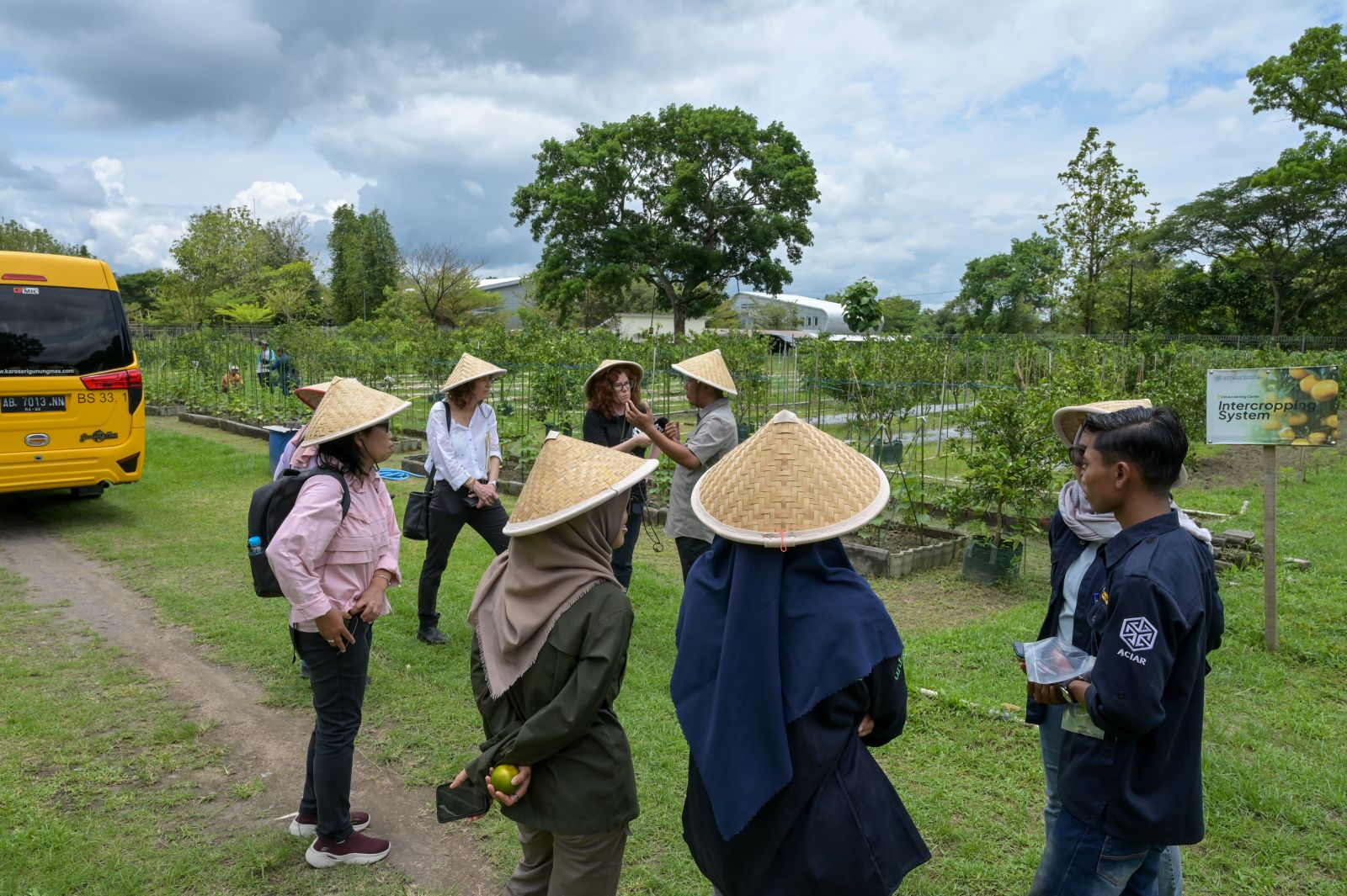 A group of people wearing traditional conical hats standing outdoors near a yellow bus, engaged in conversation at an agricultural site with rows of plants.