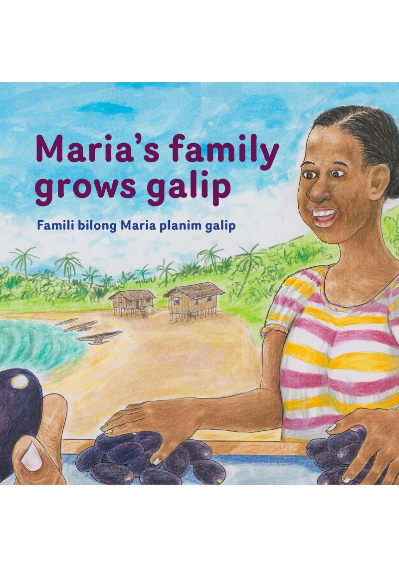 Illustrated book cover showing a girl standing by a coastal village, holding galip nuts.