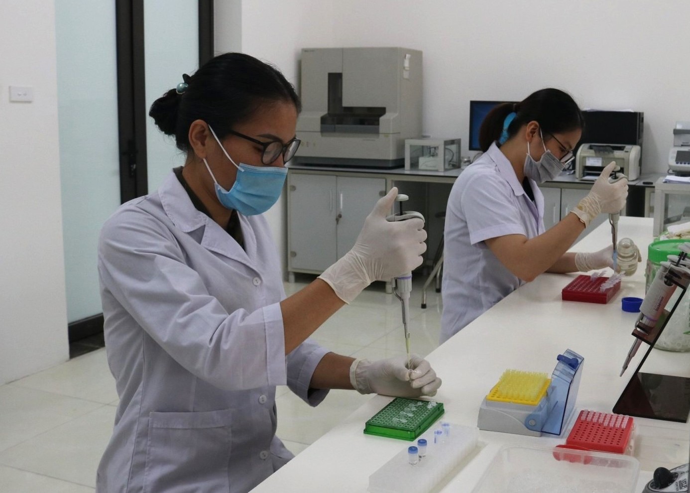 Vietnamese scientists sharing the ploidy degree analysis with Indonesian colleagues. Photo: Vietnam Academy of Forestry Sciences